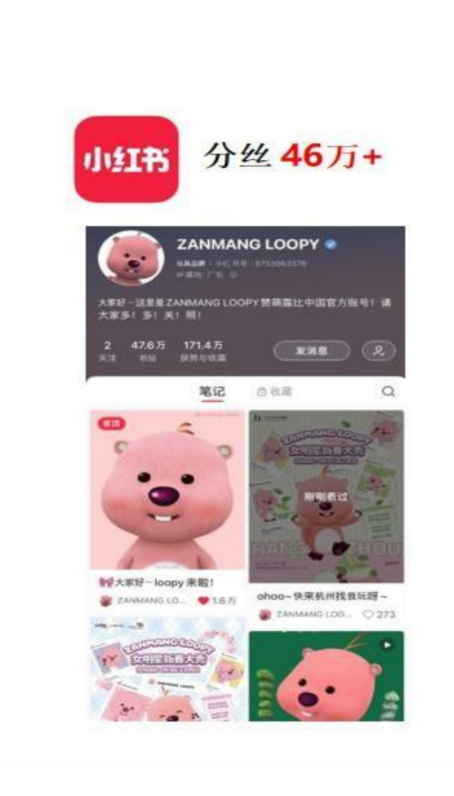 Real Zanmang Loopy Xiaohongshu profile and pink lifestyle-content feed shown in a public China case study