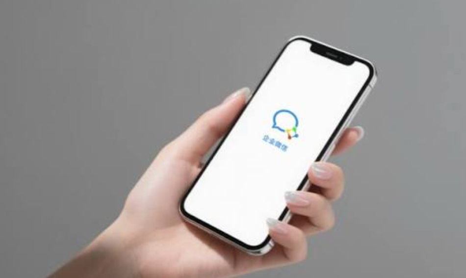 LEMAIRE China: What WeCom Private-Domain Operations Show