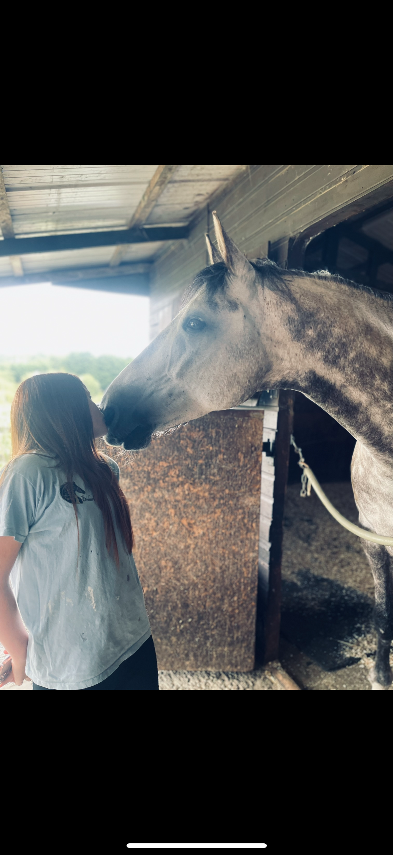 A young woman with long red hair appears to be kissing the nose of a large gray horse in a barn or stable.