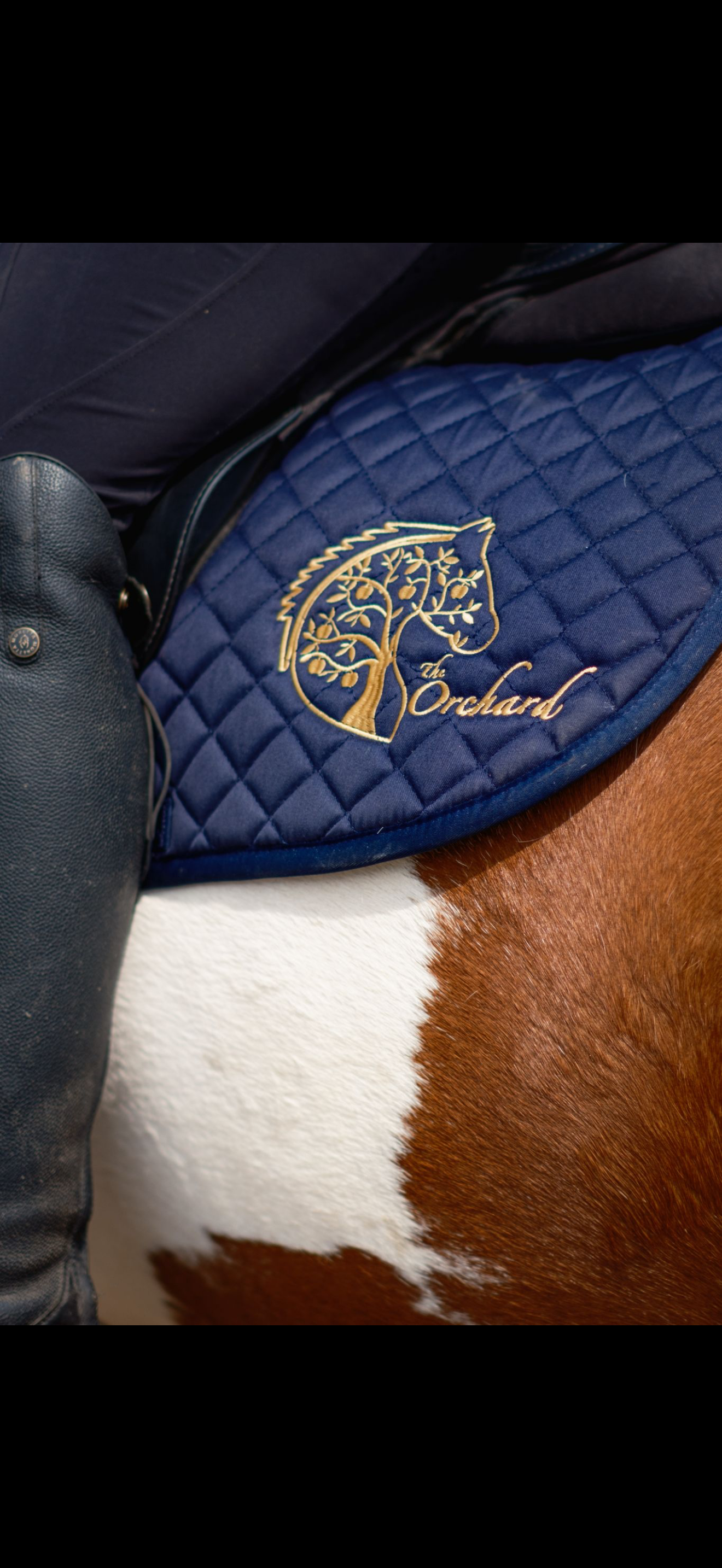 Close-up of a horse saddle pad with an embroidered tree logo and the words 'The Orchard', next to a horse's white and brown coat.
