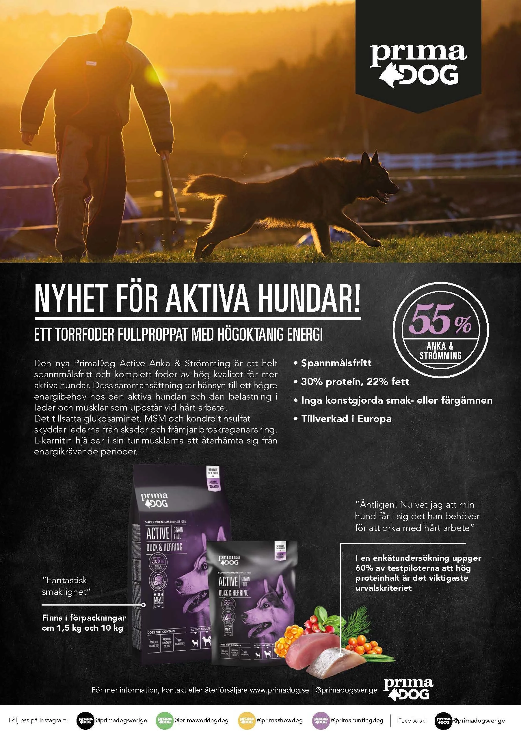 Active-annons-A4.jpg