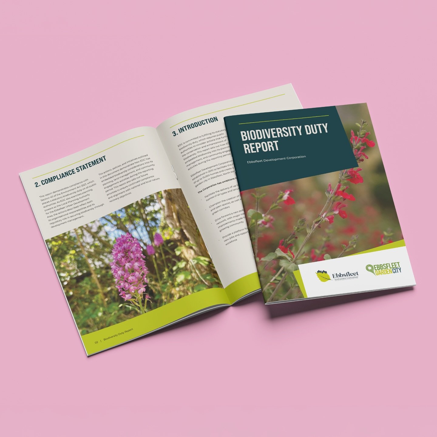 A recent piece of publication we designed for @ebbsfleetgardencity 🌷🦋🌱

#designforprint #communicationsagency #londonbrandagency #designstudio