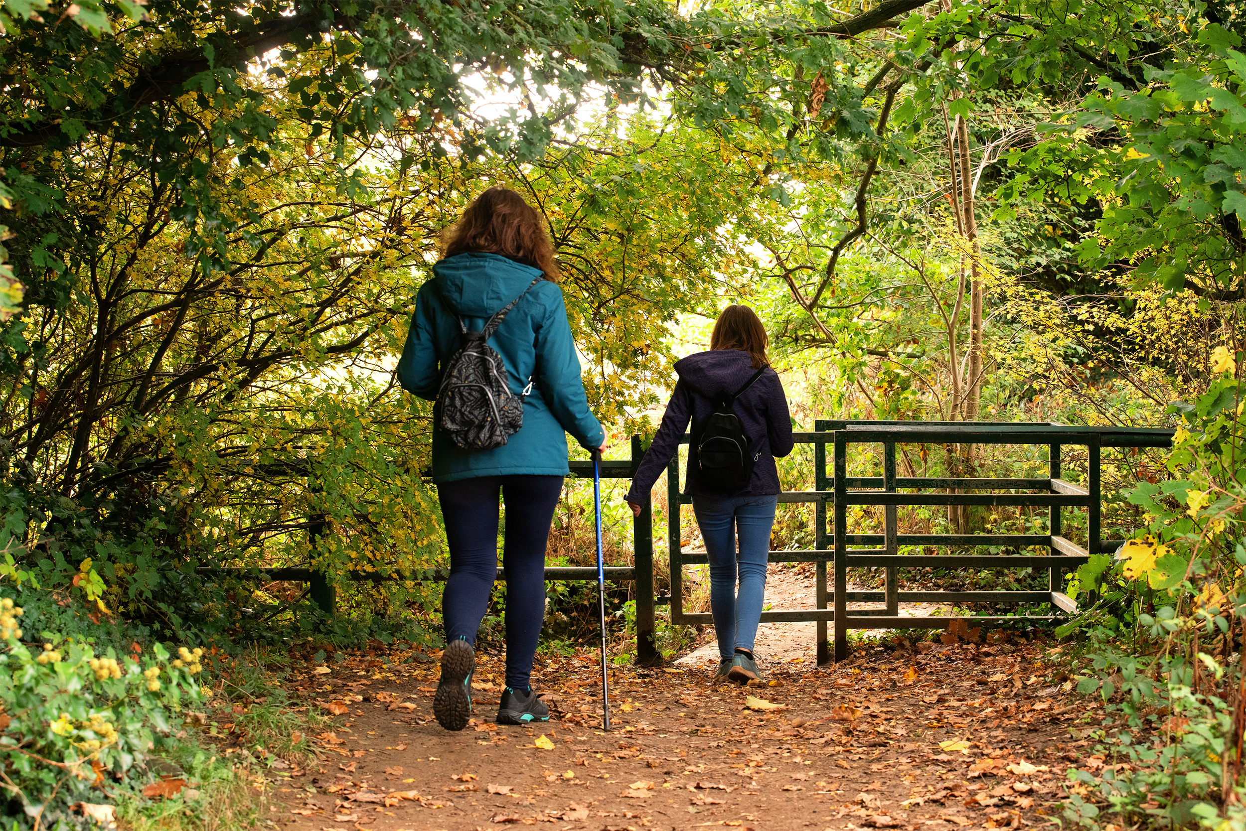 Year of Active Travel
