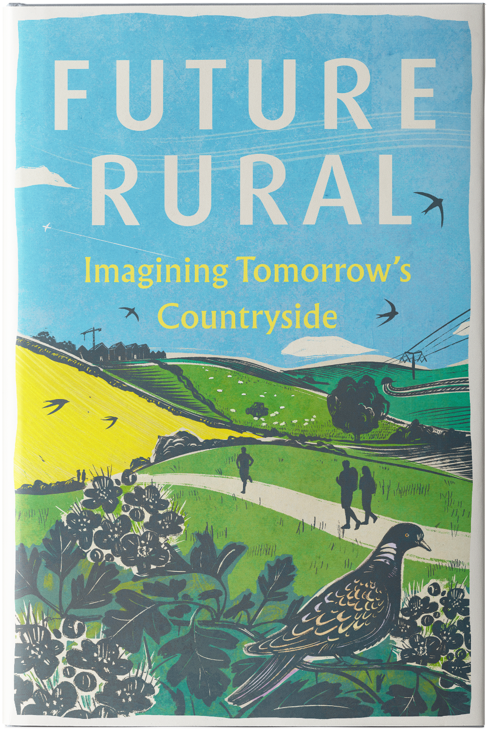 Future-Rural-Standard-1st-Edition-231x156-1.png