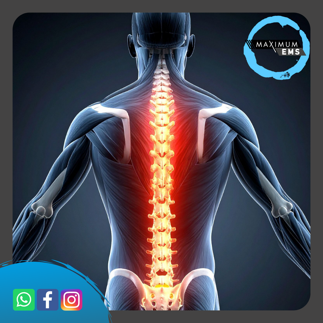 Starker Rücken durch Tiefenmuskulatur