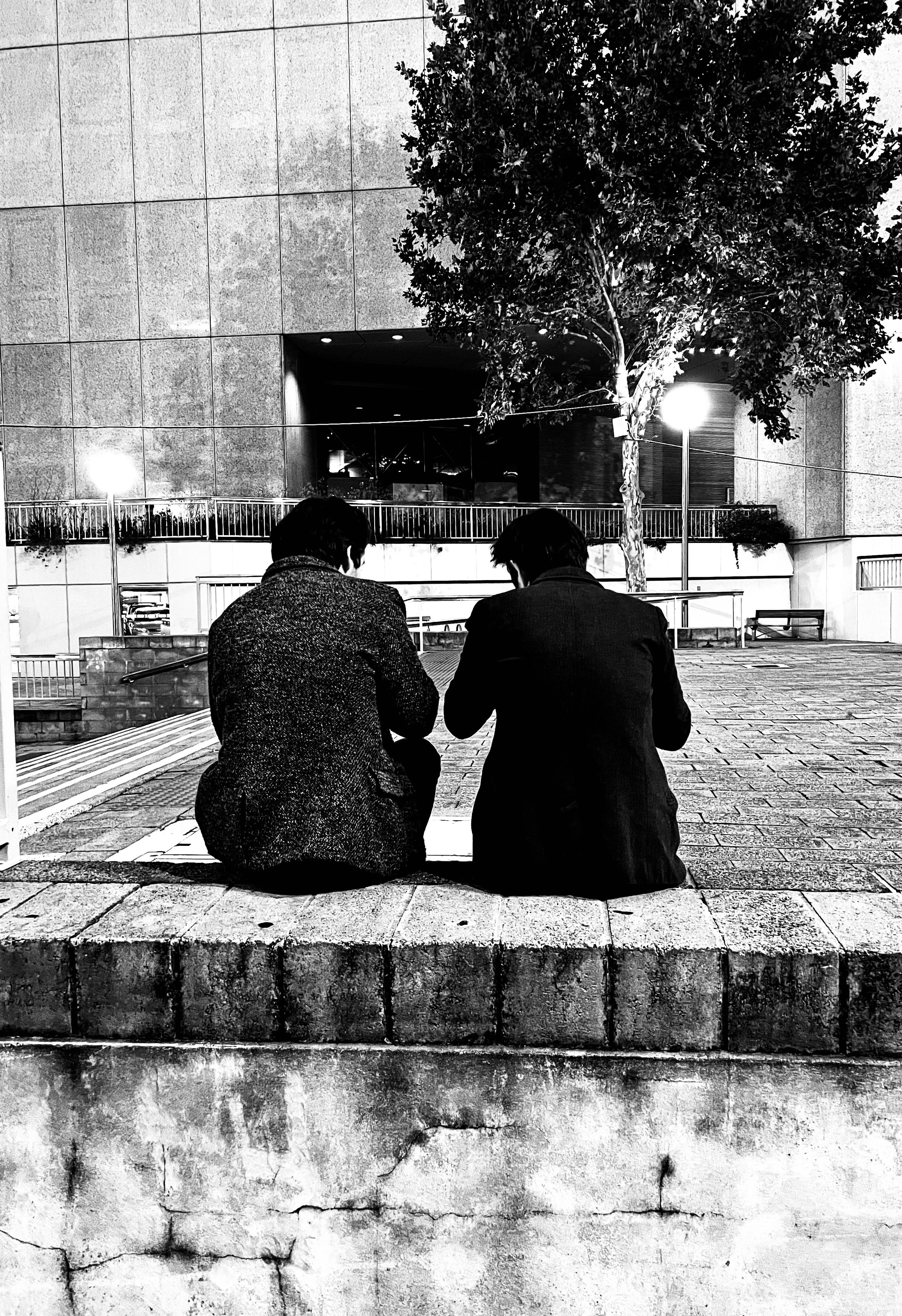 Perth street photography Two people sit on a low stone ledge, facing away, at night in an urban area. They are next to a tree, with building walls and street lights in the background.