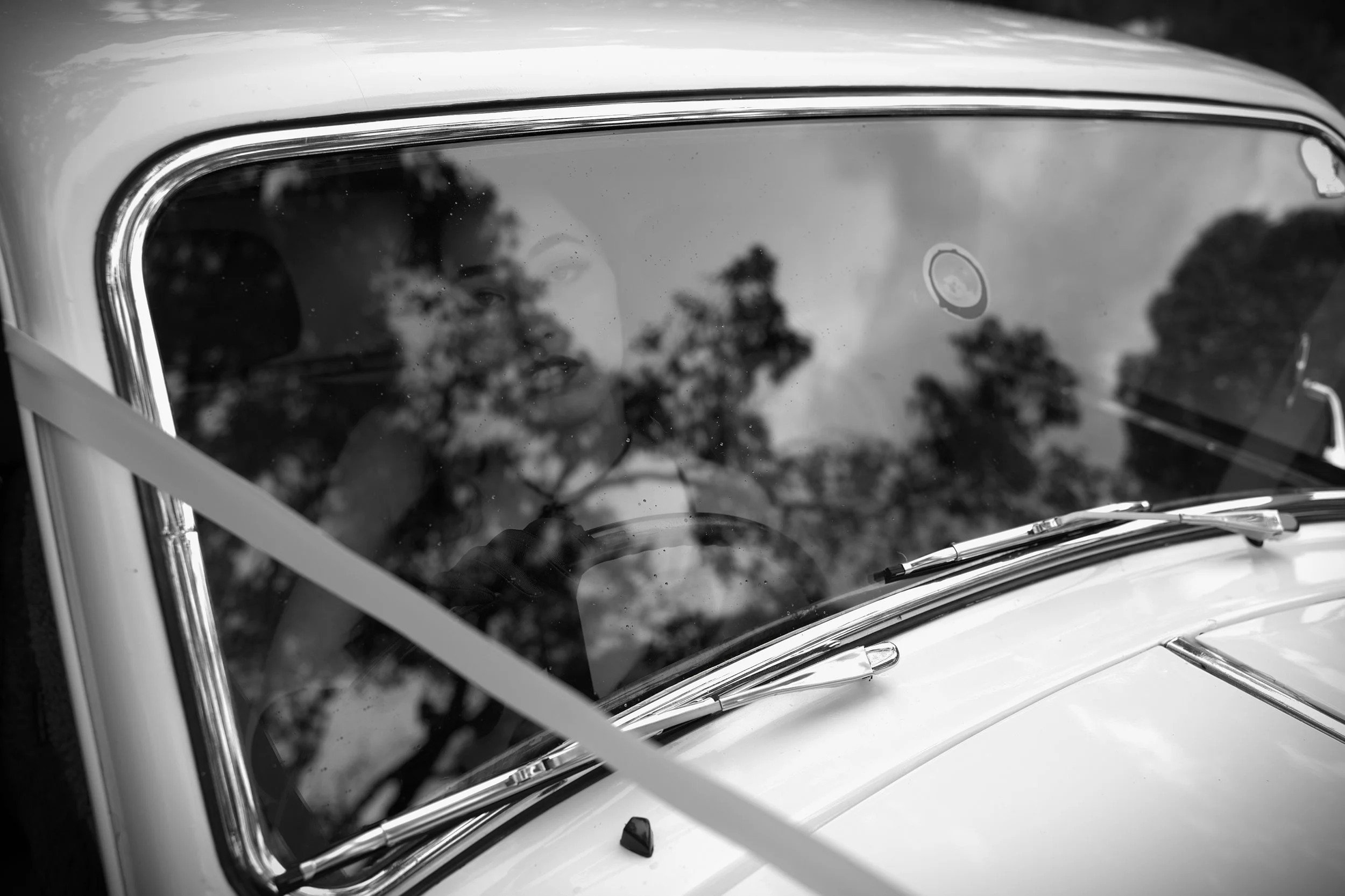 DSC_2841 - Copy (2).jpg