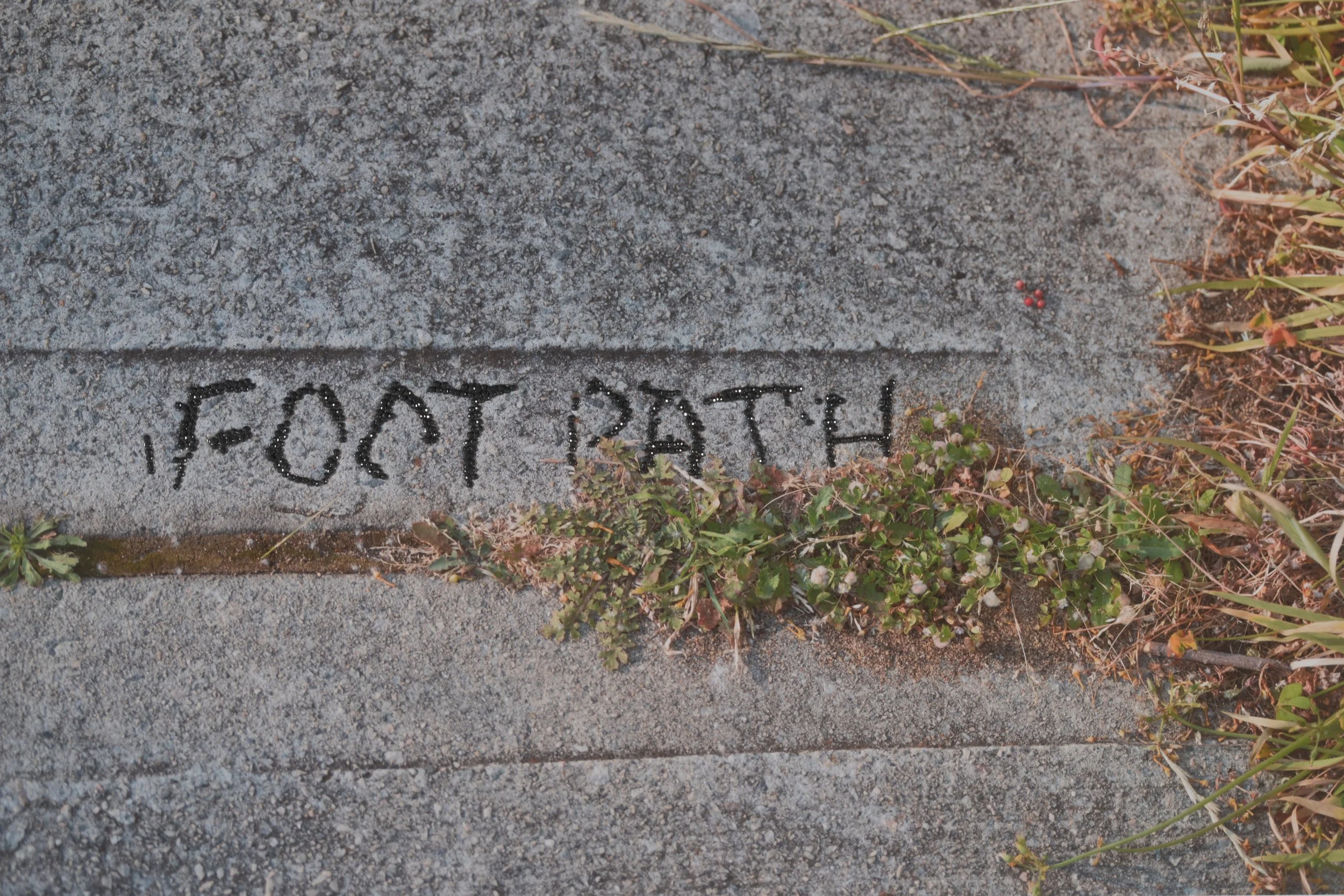 Perth Kintsugi Exhibition- Photograph with beads Concrete sidewalk with the phrase 'I-FOOT PATH' written in black dirt or shadow, surrounded by small green and brown plants and grass.