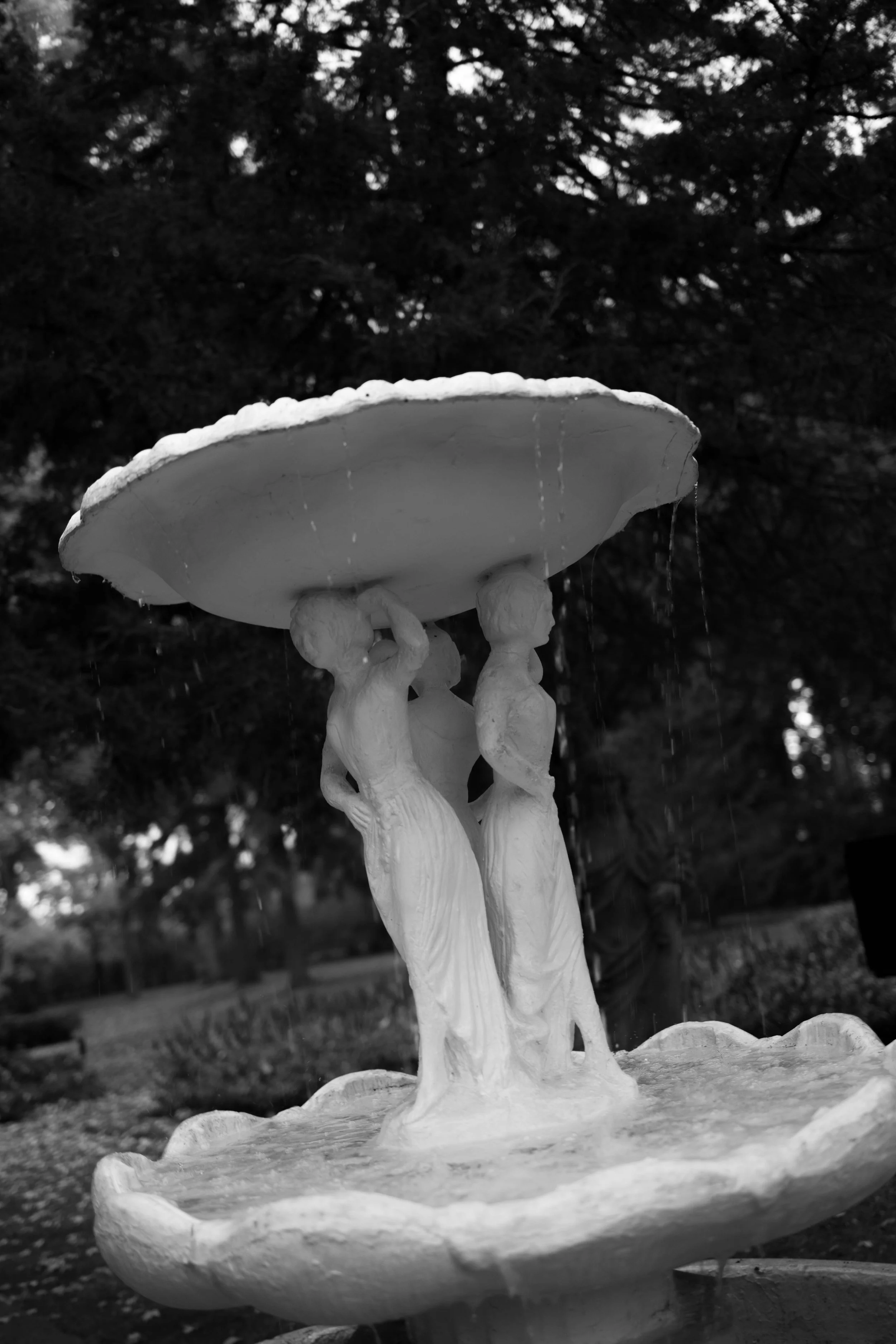 D&M (70 of 150).jpg