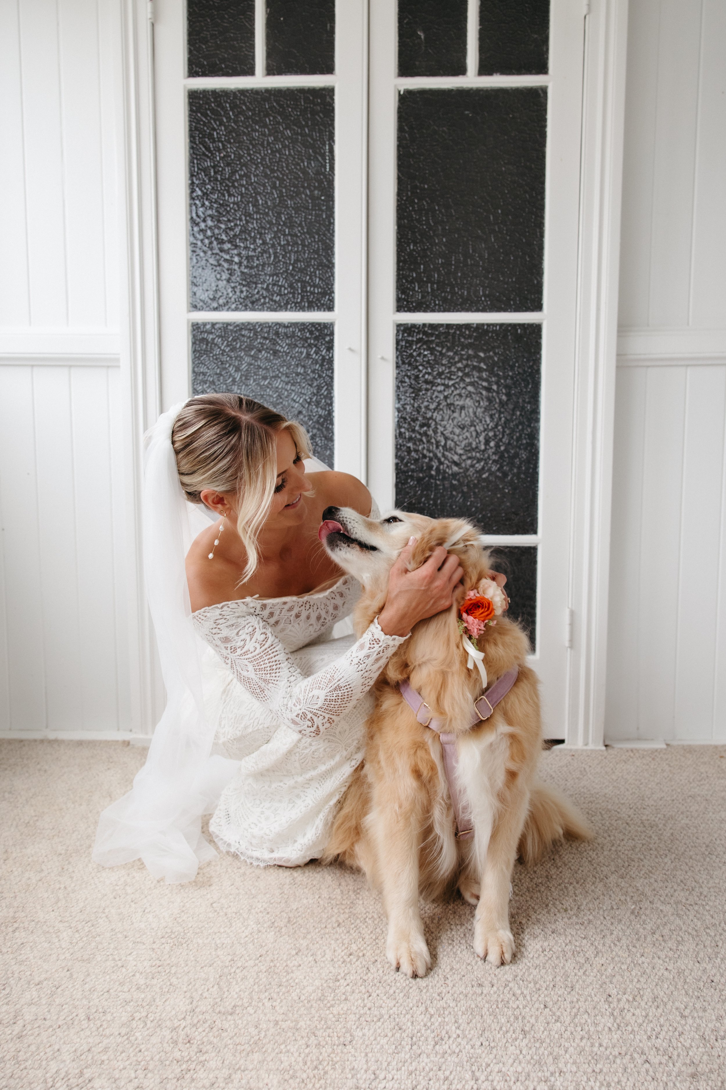 A bride wearing a lace wedding dress is sitting on a beige carpet, cuddling and kissing her golden retriever dog that is wearing a floral collar and pink harness, in front of a white paneled wall with black textured glass doors.