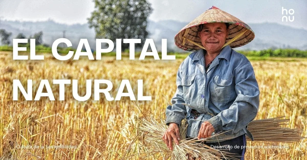 ¿Qué es el capital natural y por qué es clave para nuestro bienestar? 