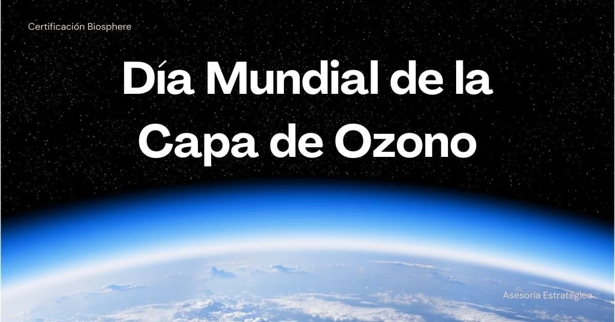 Día Mundial de la Capa de Ozono: Una Oportunidad para Hoteles y Restaurantes Sostenibles&nbsp;