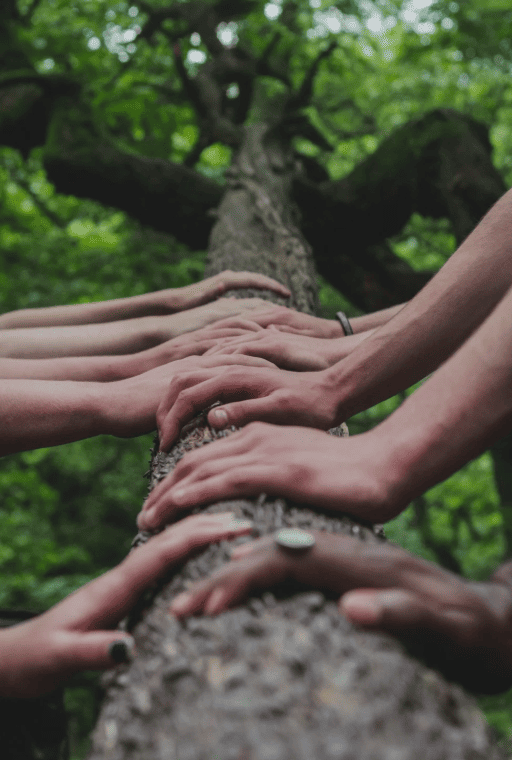 Grupo de personas tocando un arbol