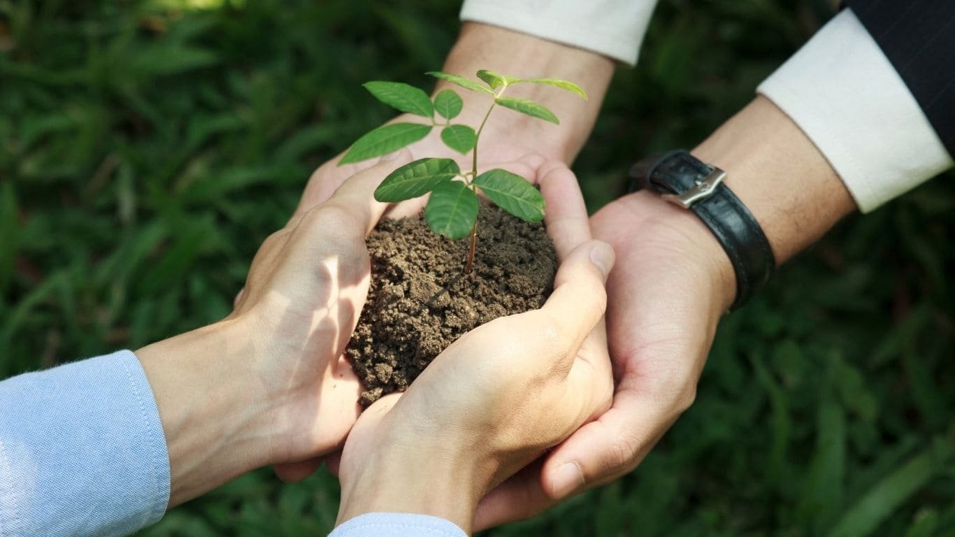 Dos personas sosteniendo una planta con las manos