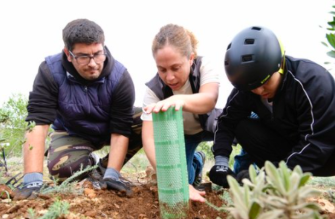 Clara sembrando un arbol