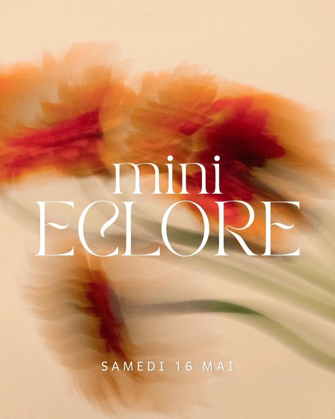 Mini Eclore
