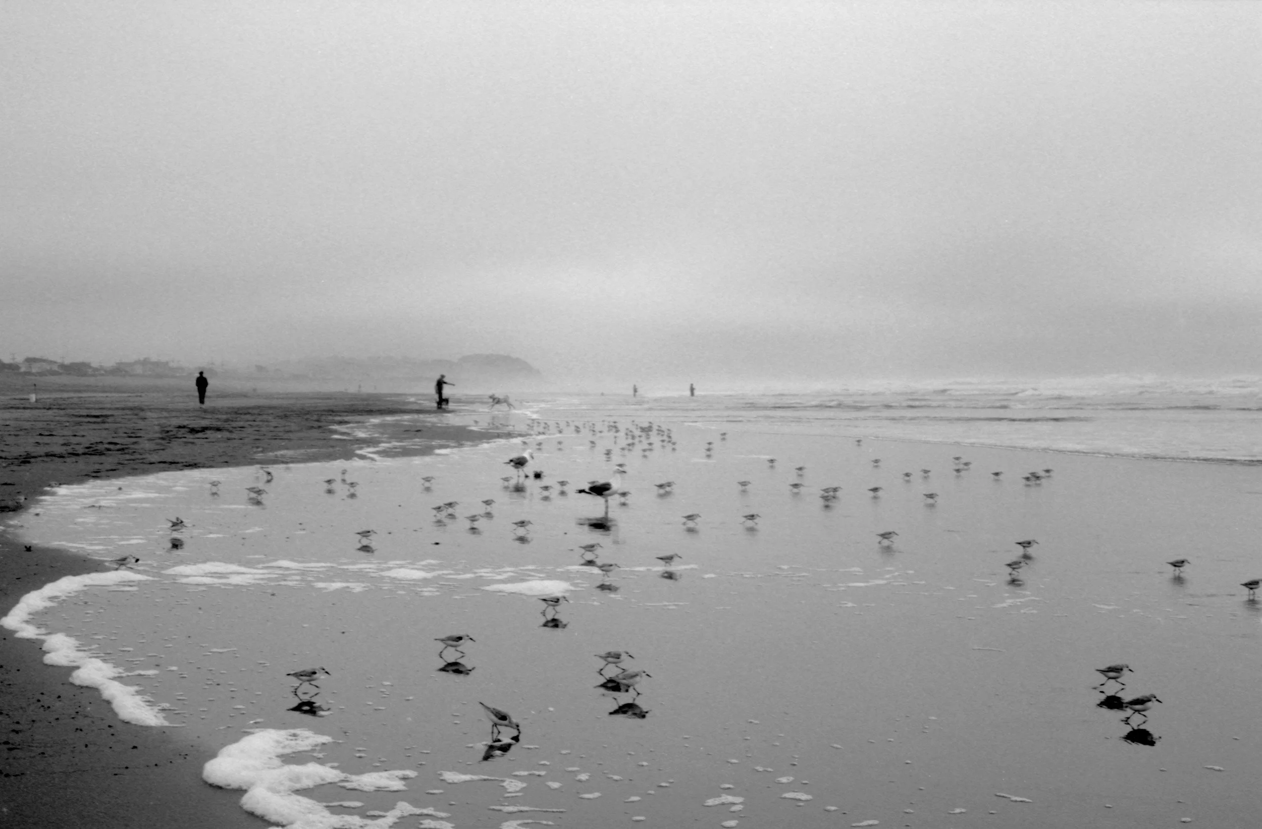 MY AMERICA: 2021 - 2023