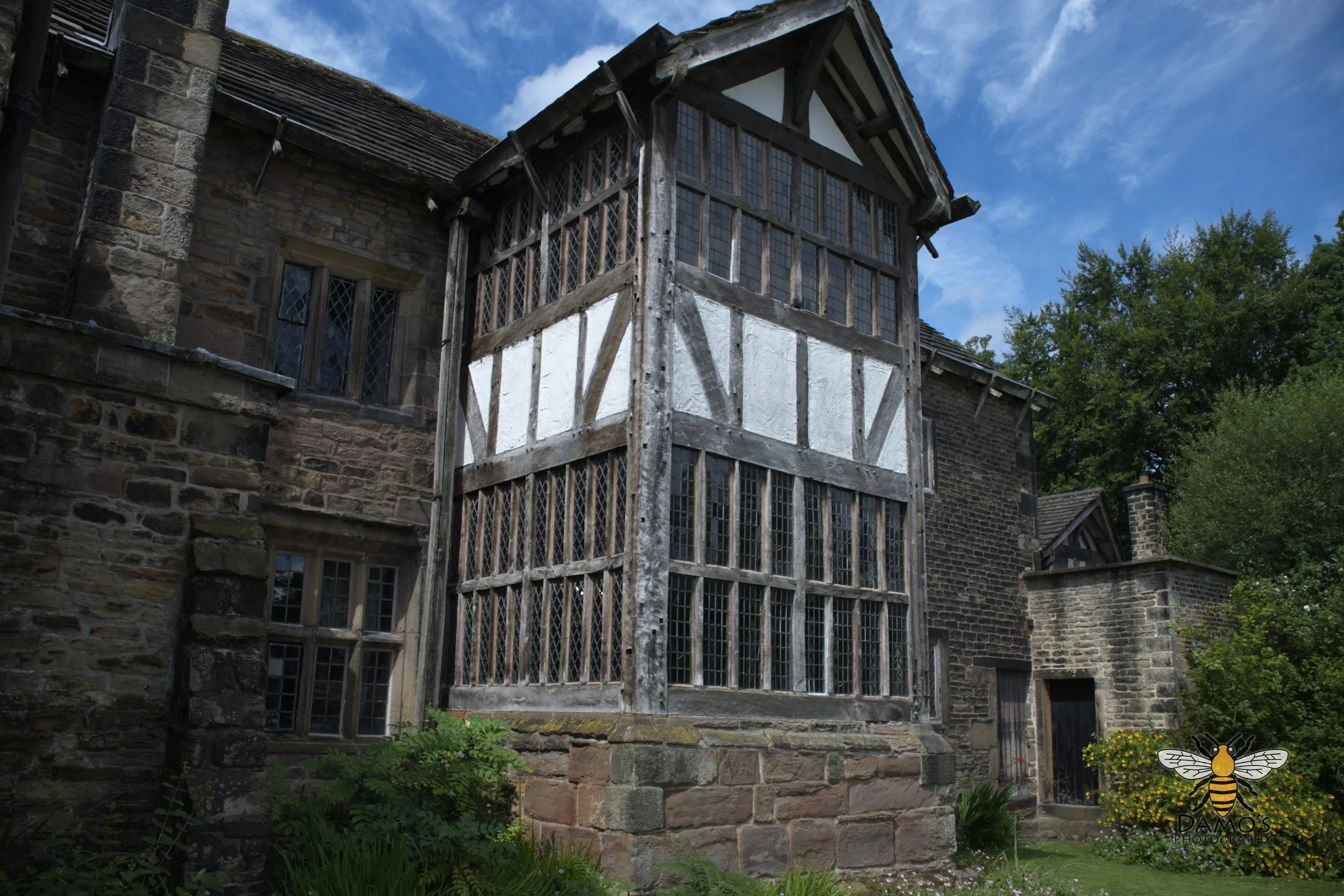 DSC_1517.jpg