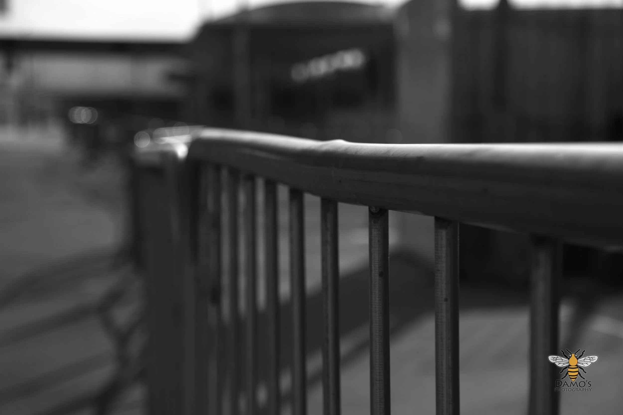 DSC_1448.jpg