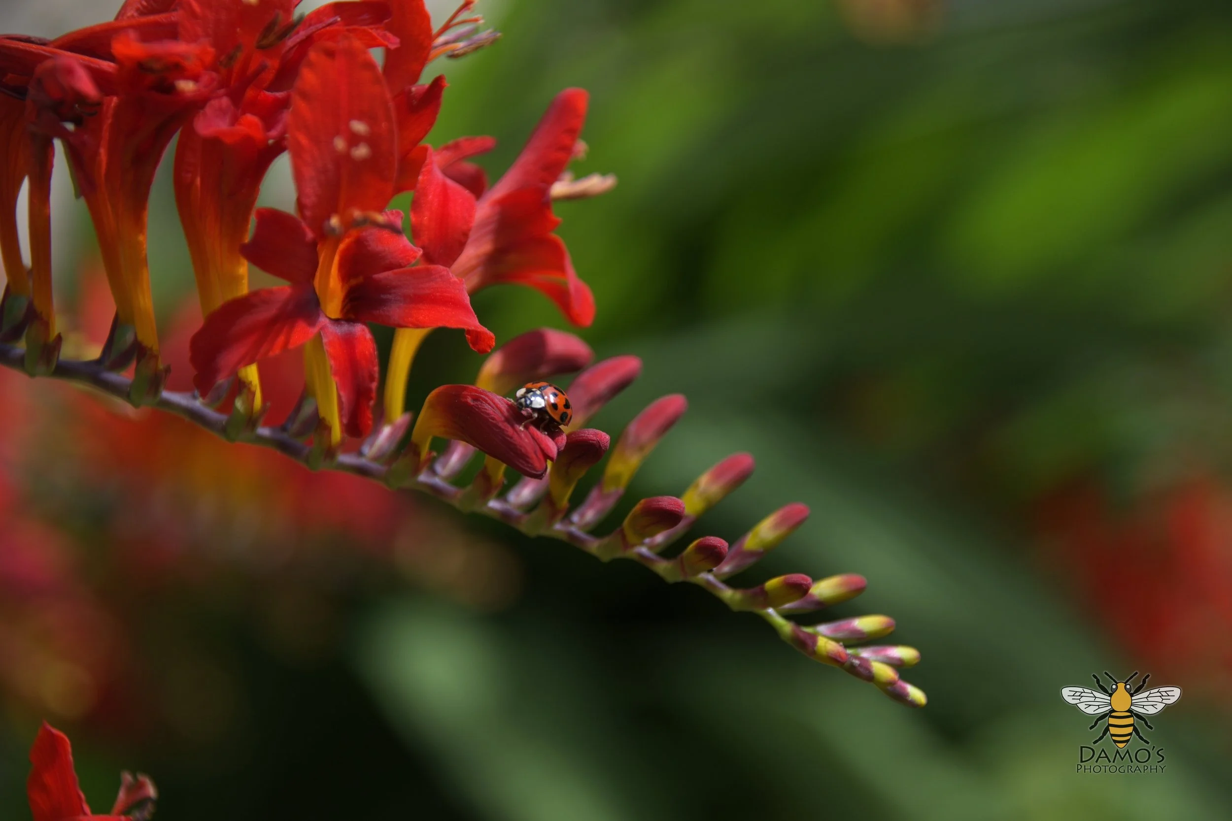 DSC_1509.jpg