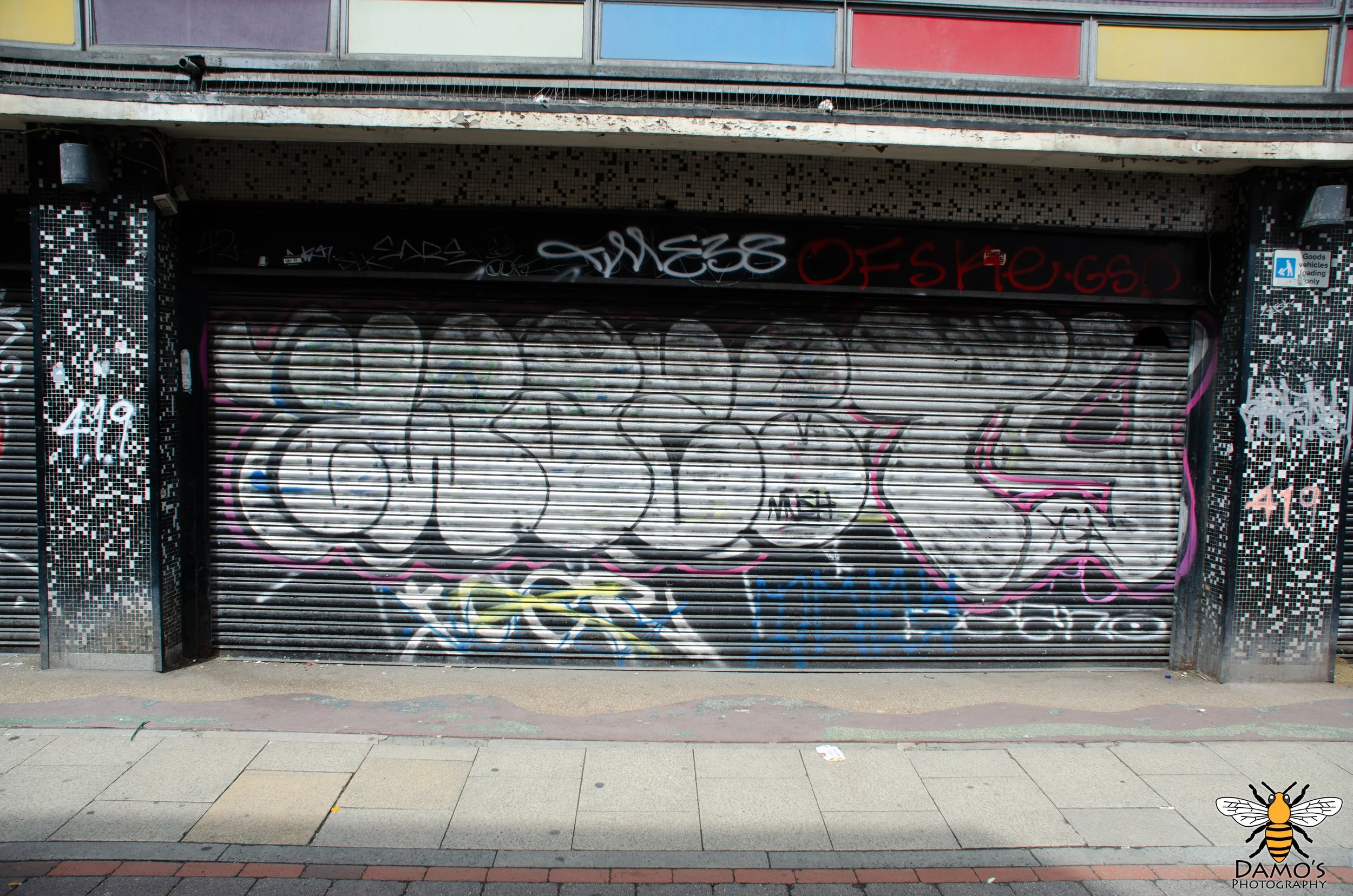 DSC_7514-Enhanced-NR.jpg