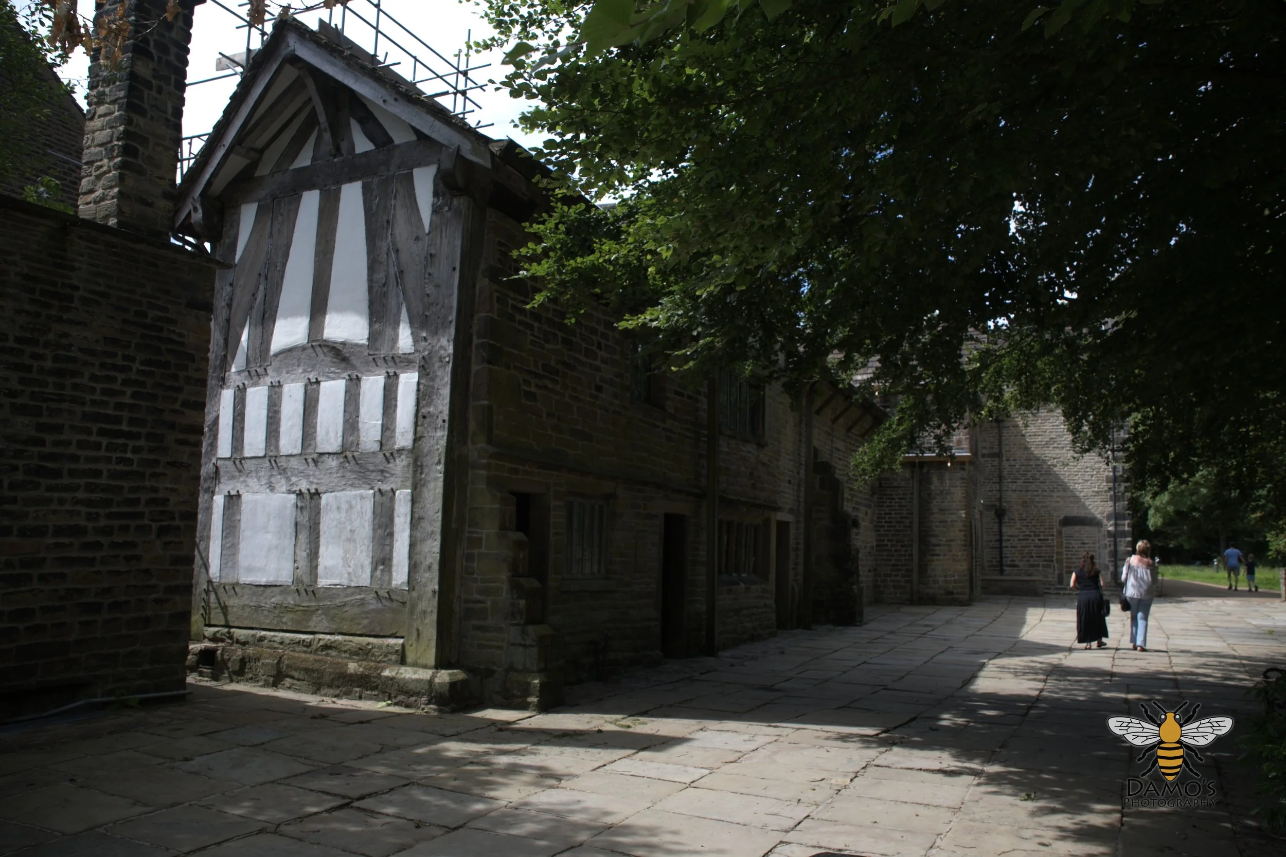 DSC_1522.jpg