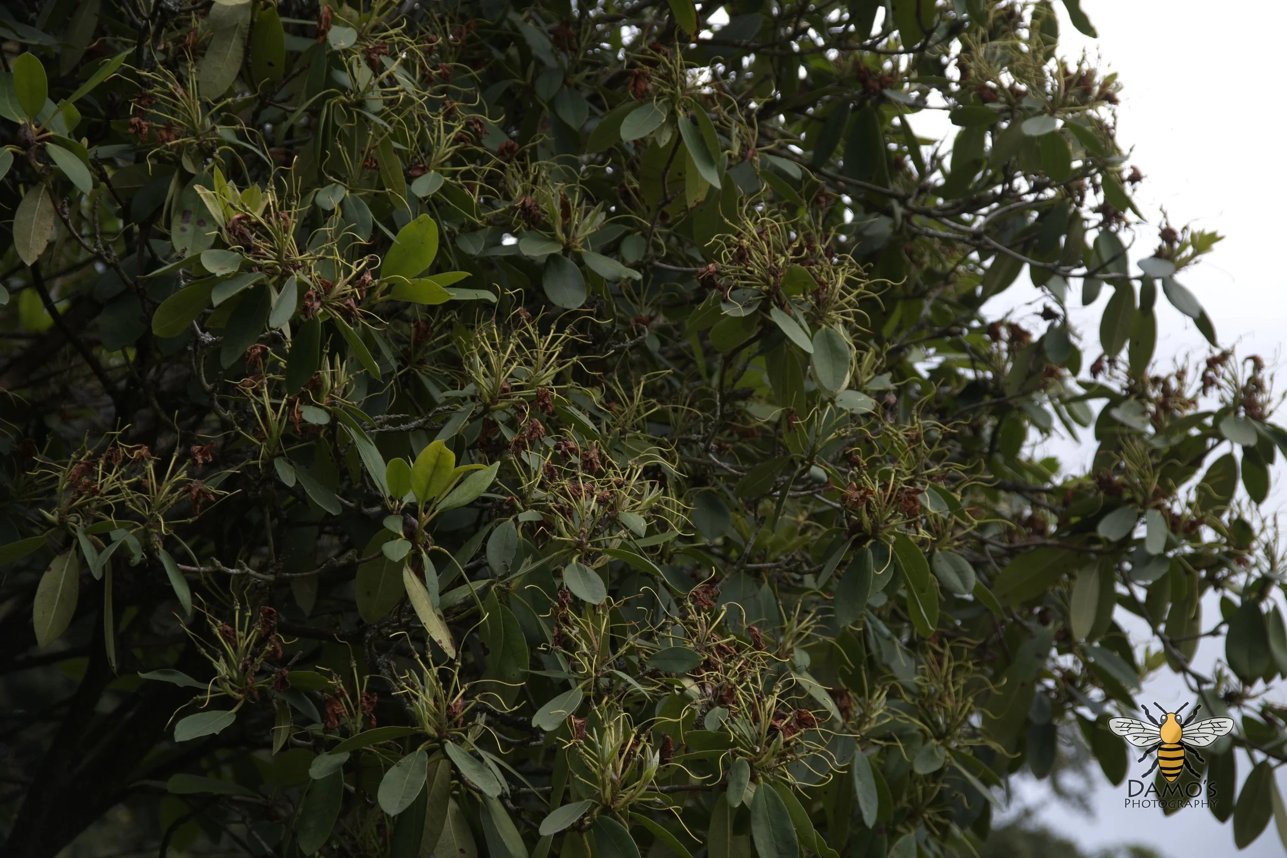 DSC_1544.jpg