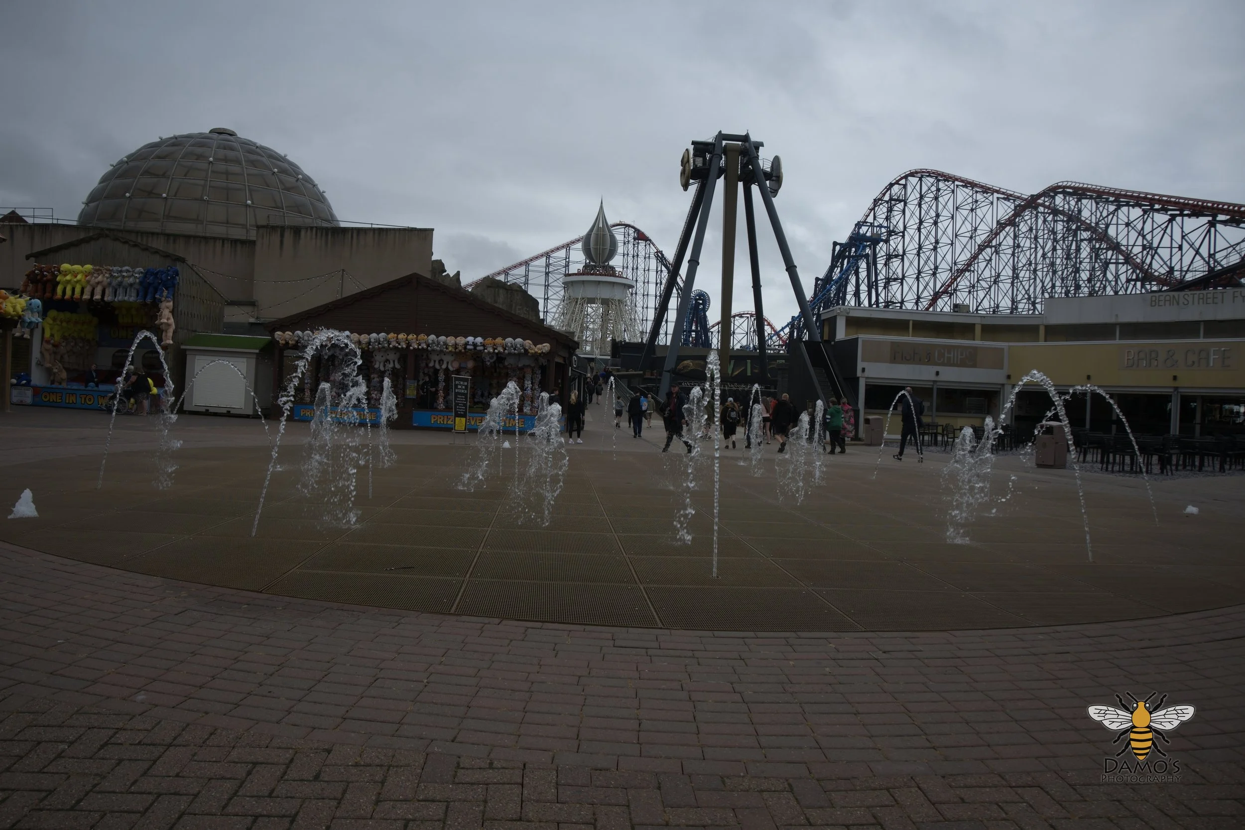 DSC_1640.jpg