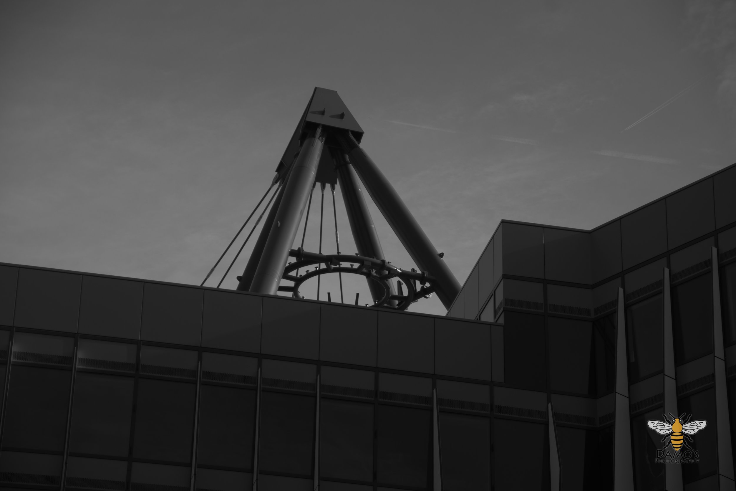 DSC_1410.jpg