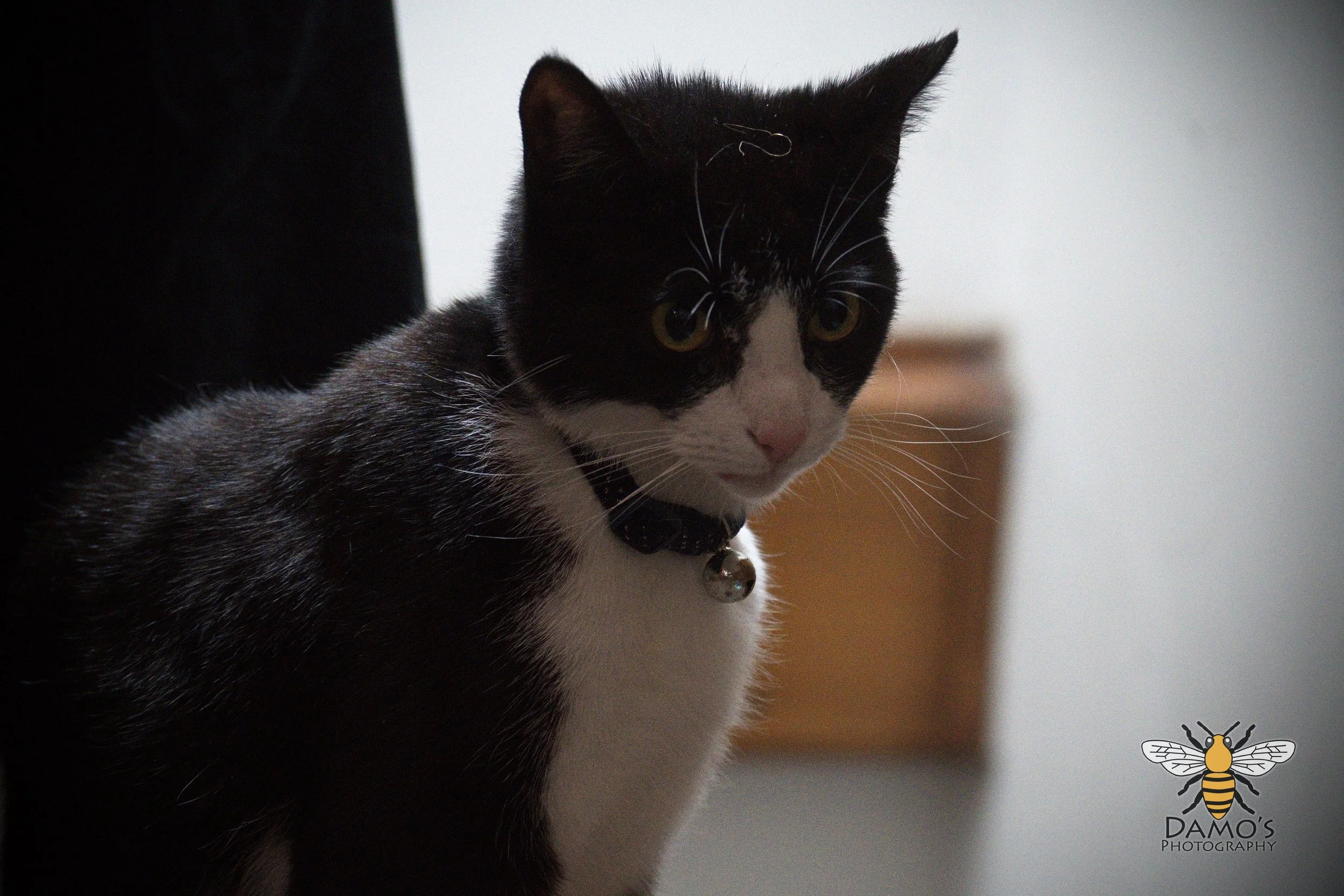 DSC_1281.jpg