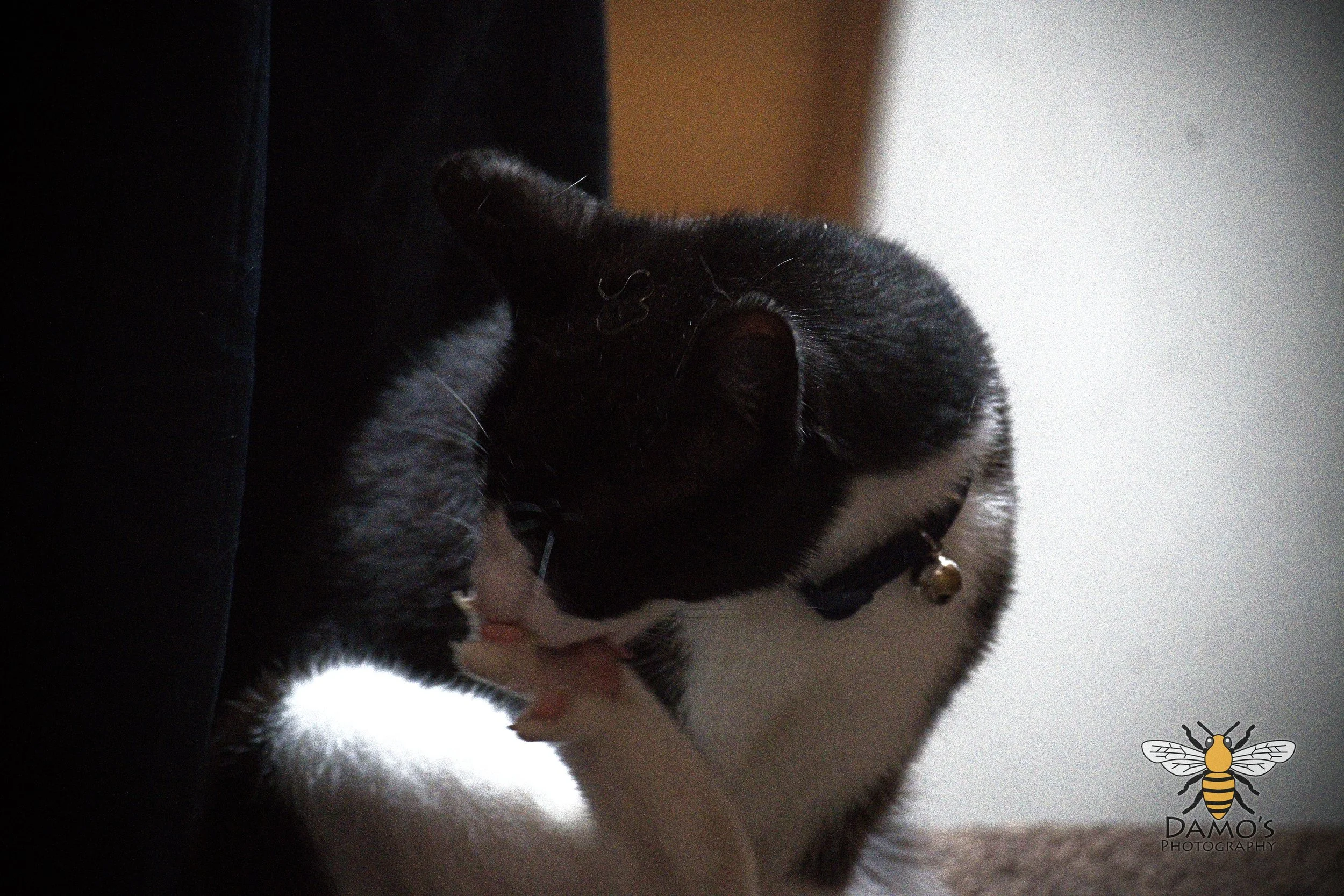 DSC_1276.jpg