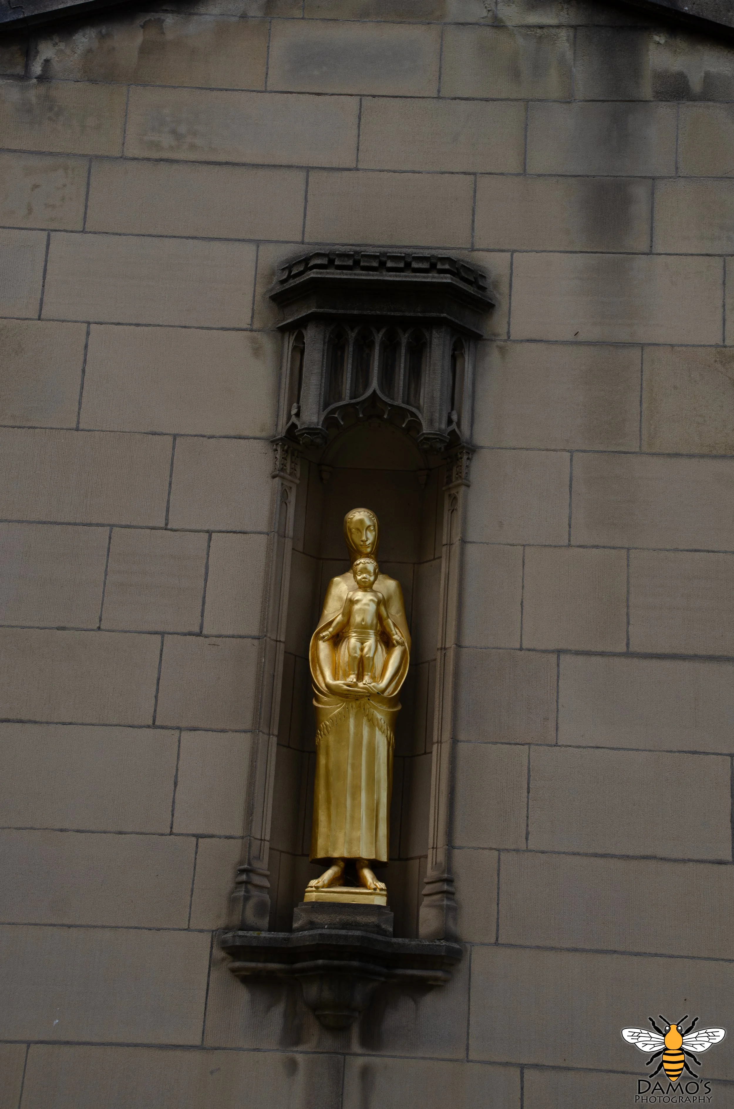 DSC_7535-Enhanced-NR.jpg