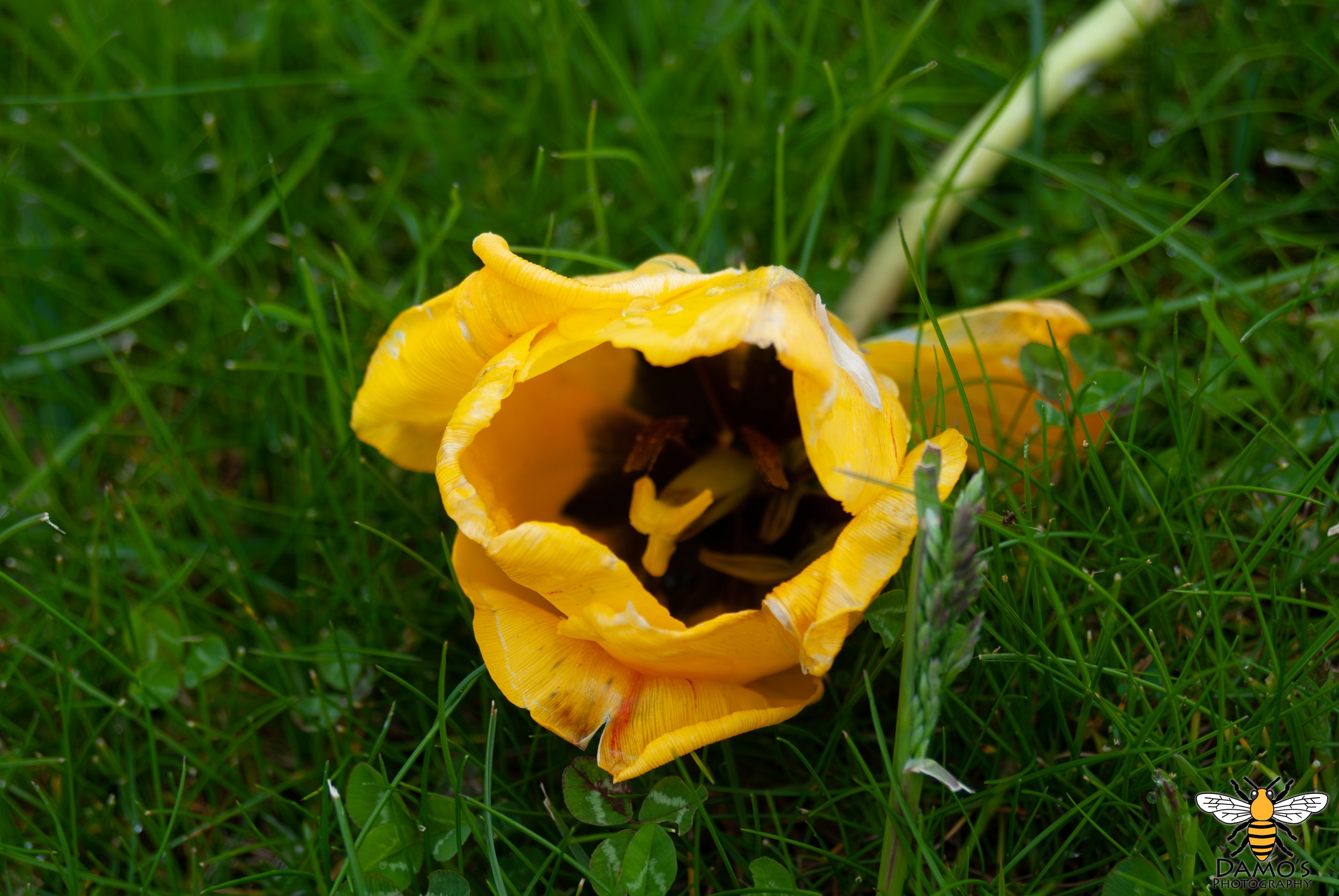 DSC_0018-Enhanced-NR.jpg