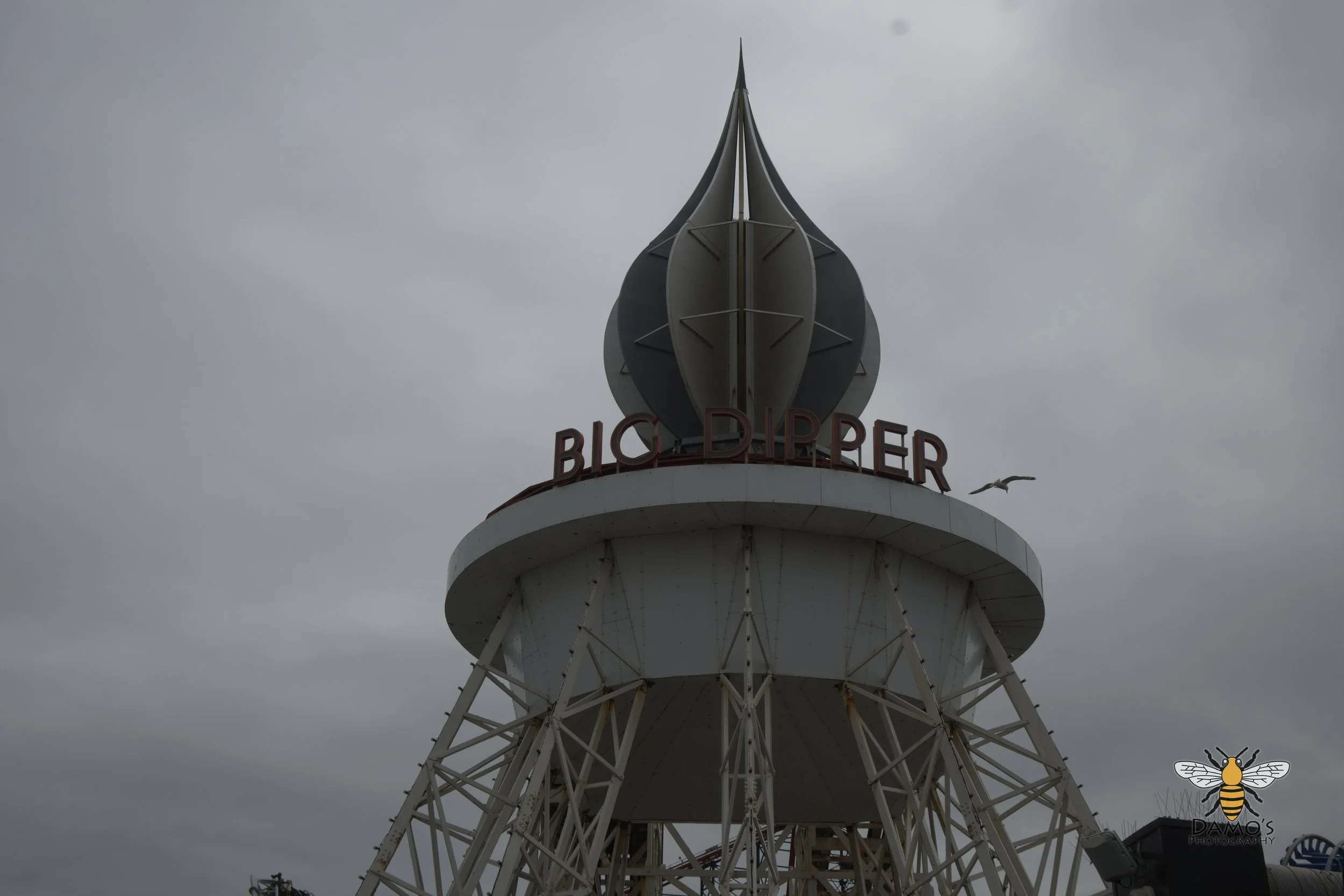 DSC_1665.jpg