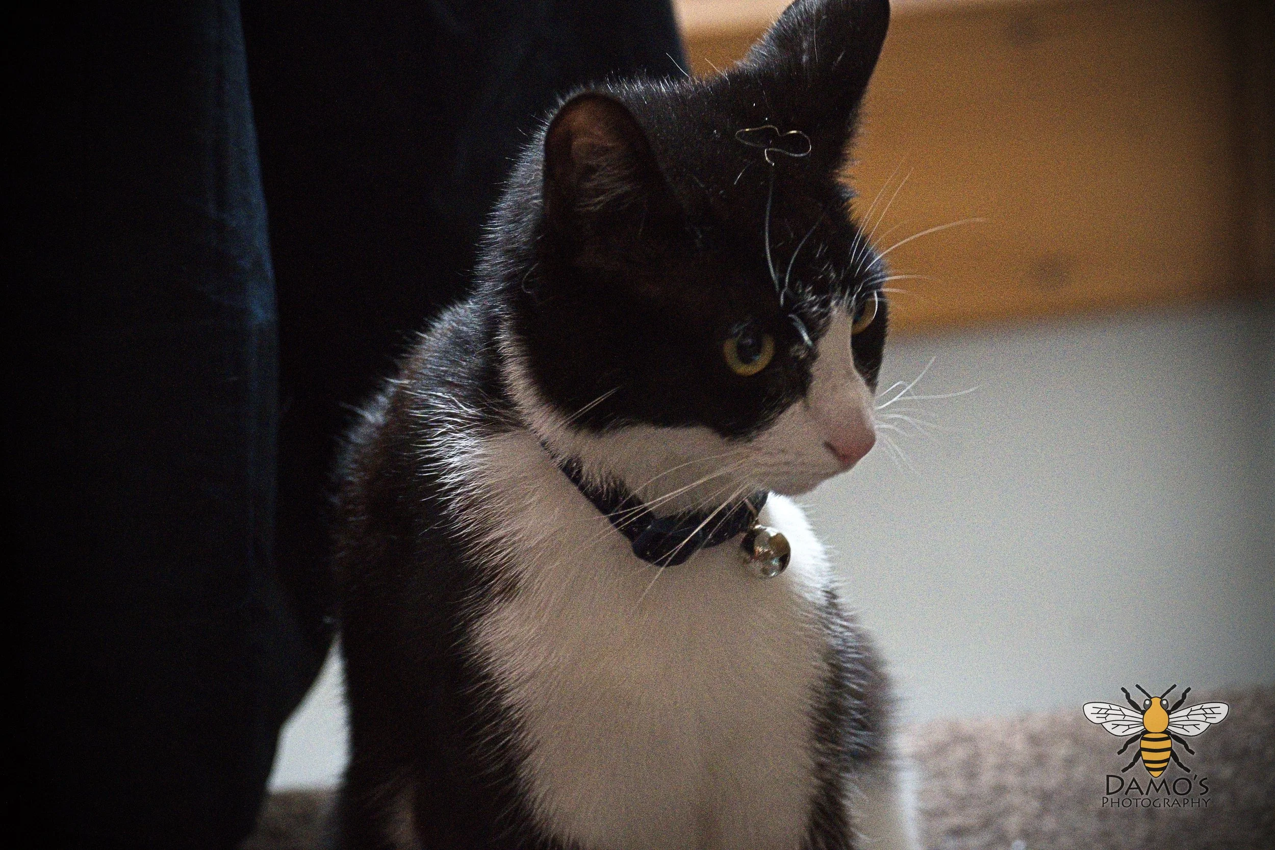 DSC_1279.jpg