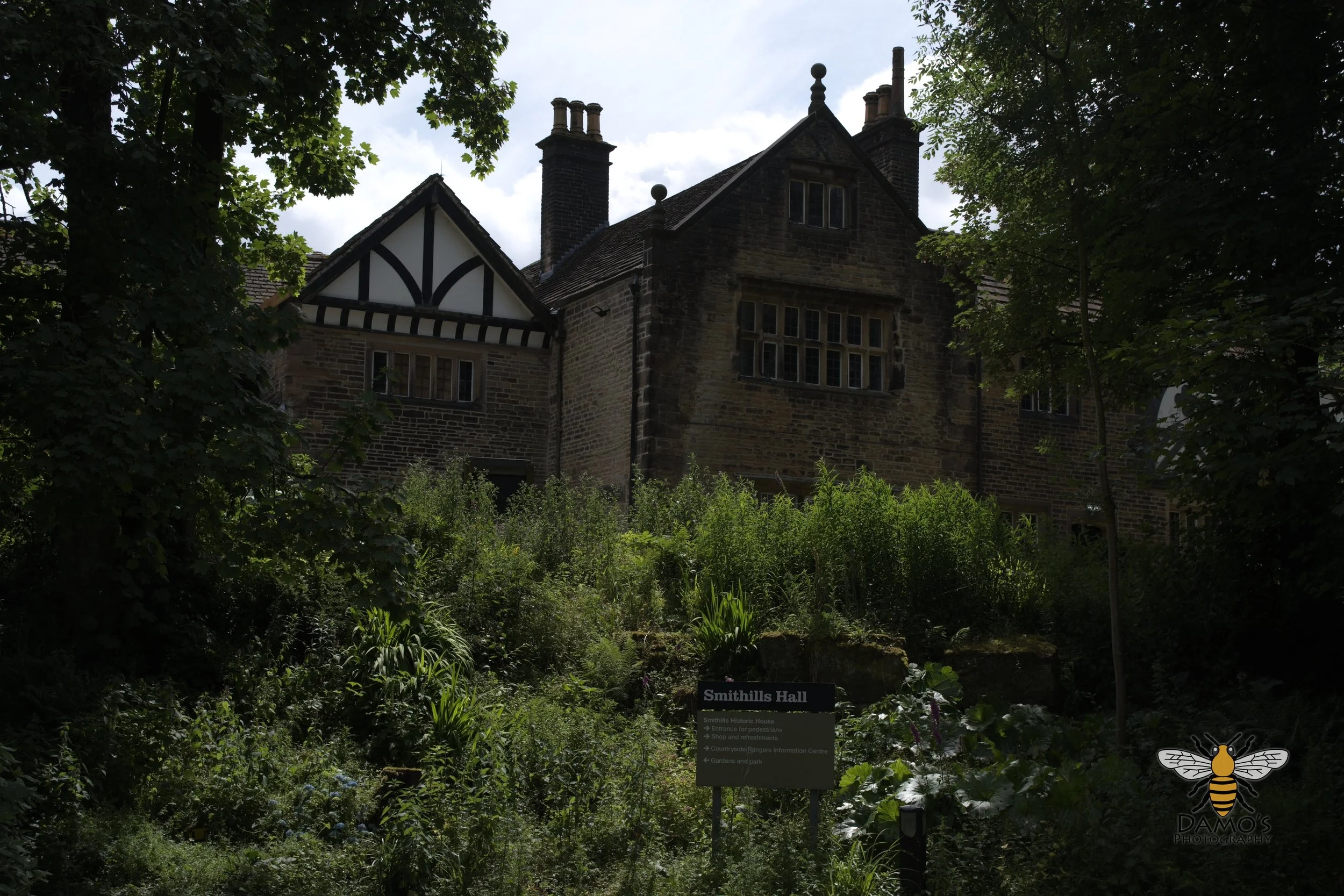 DSC_1599.jpg