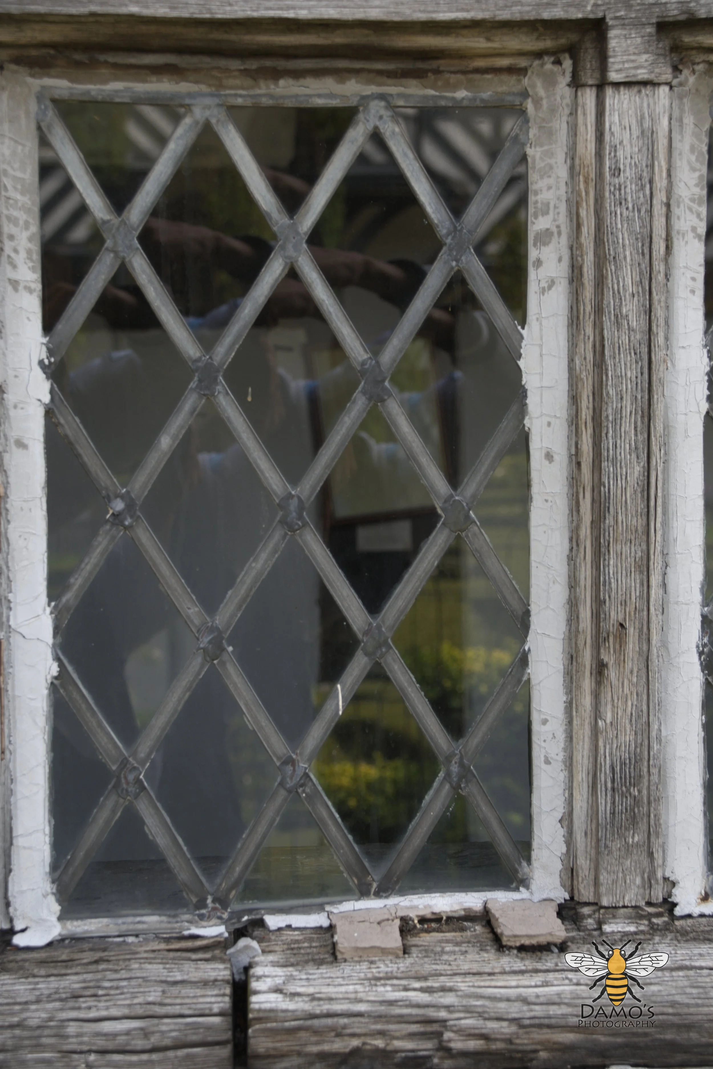 DSC_1513.jpg