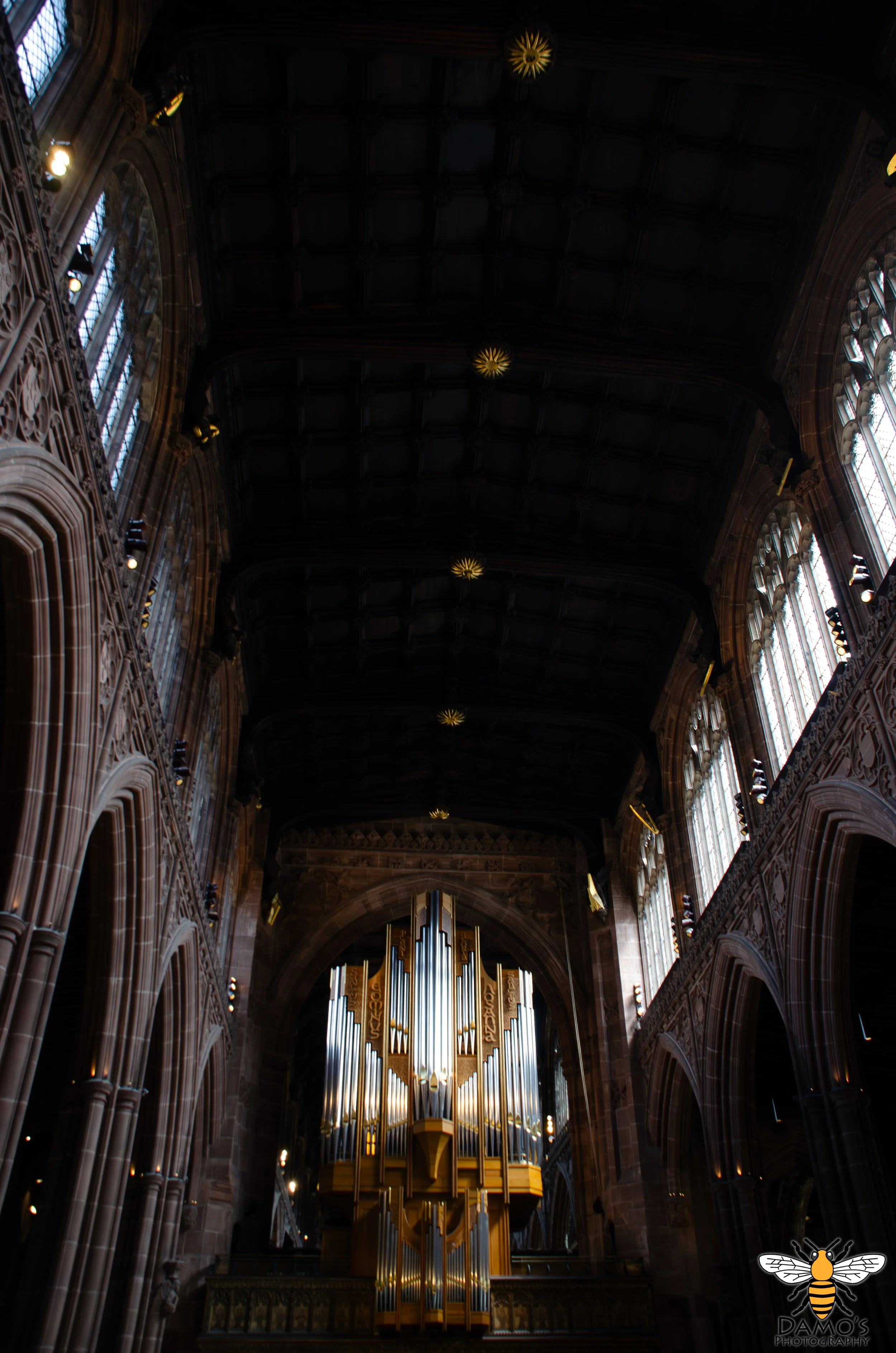 DSC_7543-Enhanced-NR.jpg