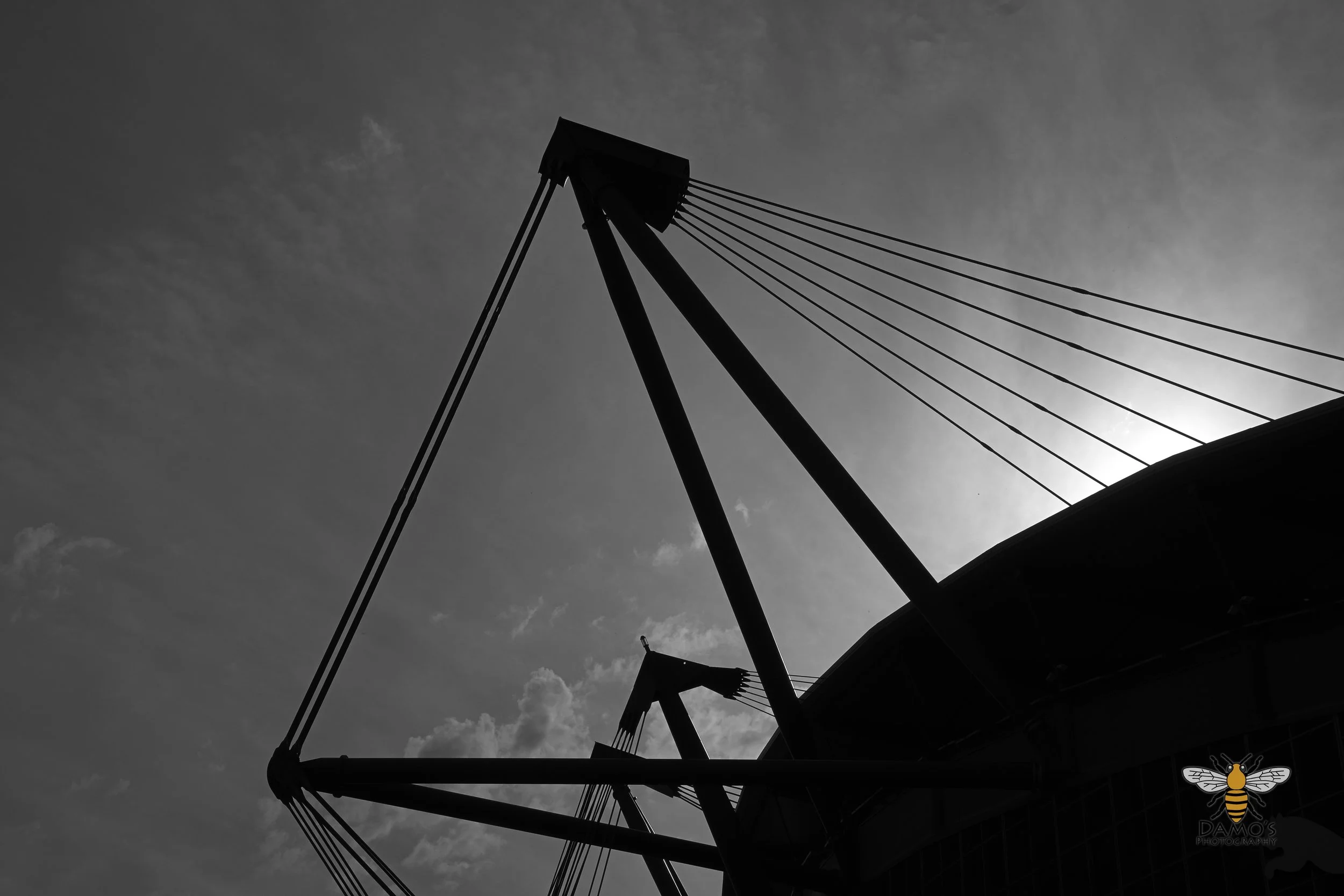 DSC_1380.jpg