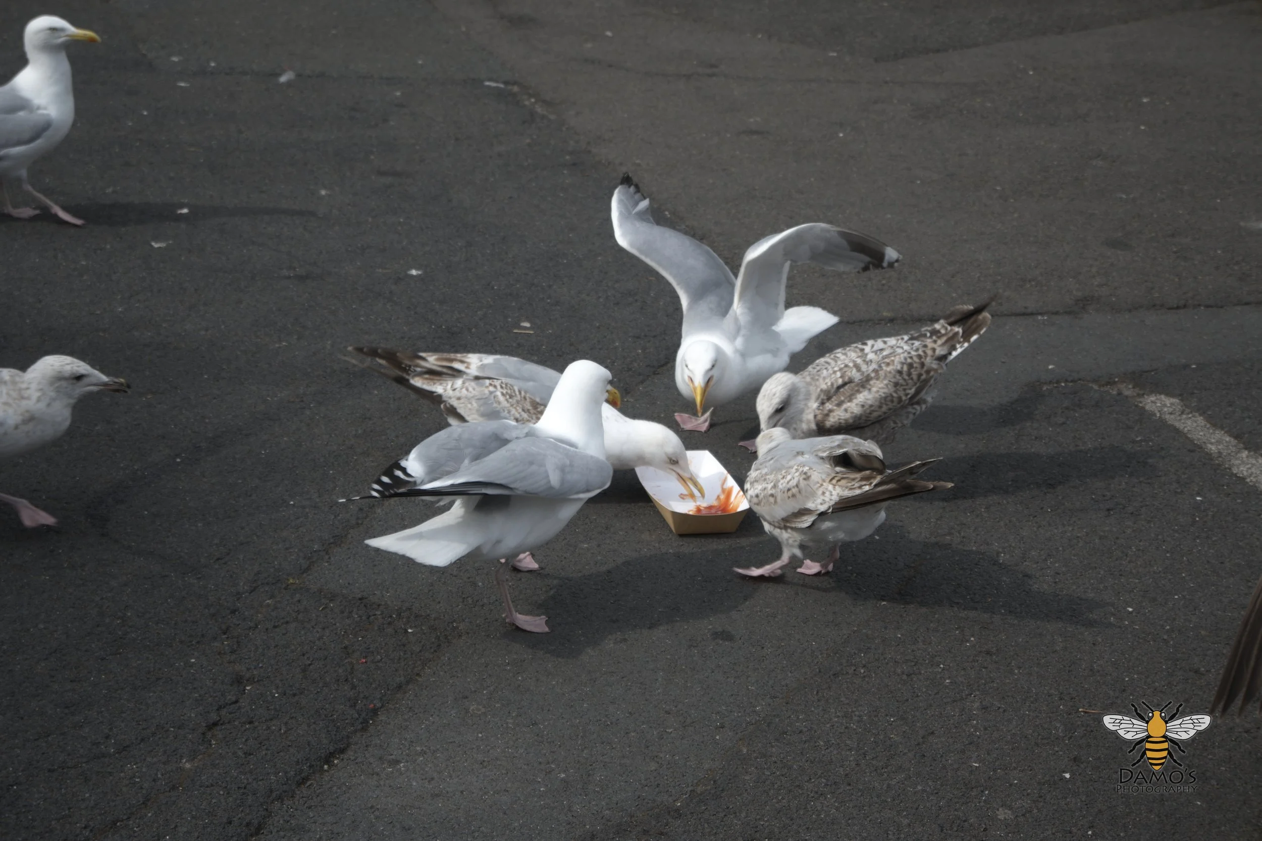 DSC_1676.jpg