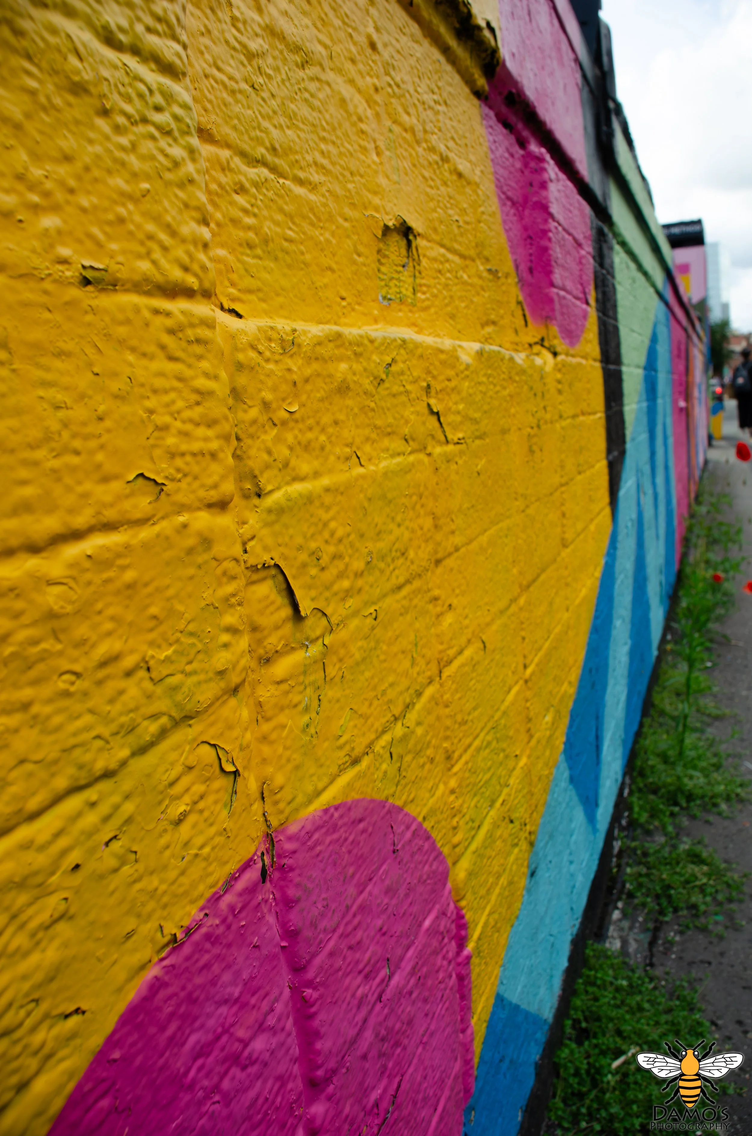 DSC_7600-Enhanced-NR.jpg