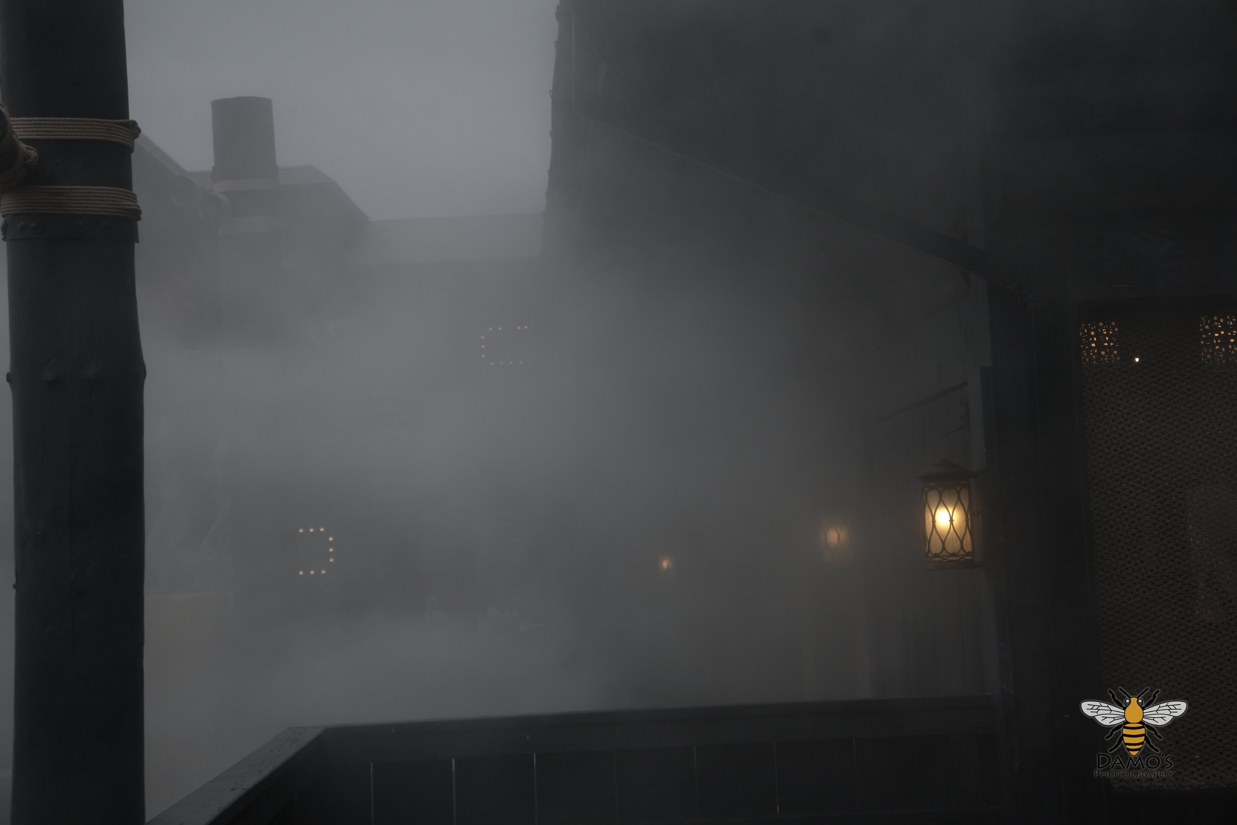 DSC_1723.jpg