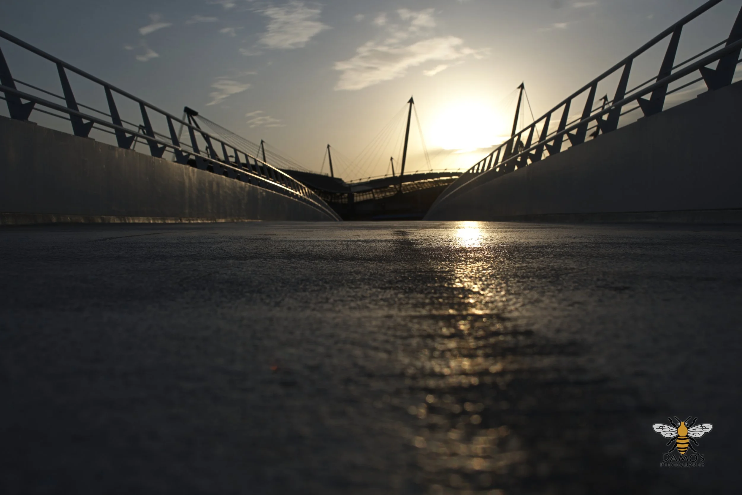 DSC_1479.jpg