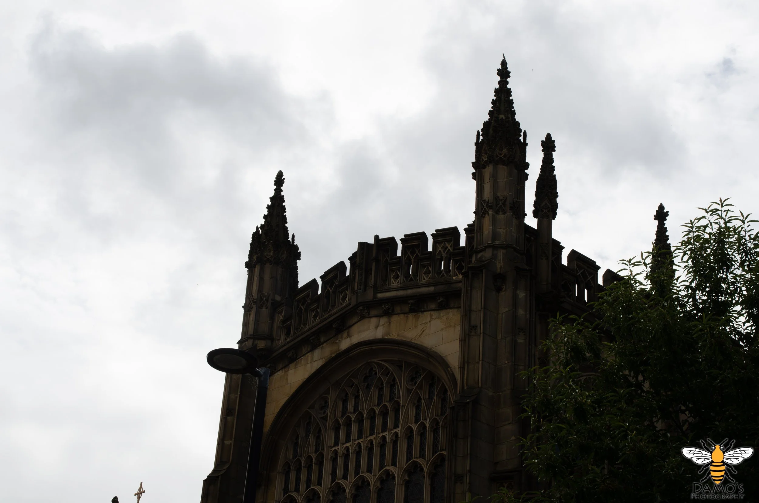 DSC_7534-Enhanced-NR.jpg