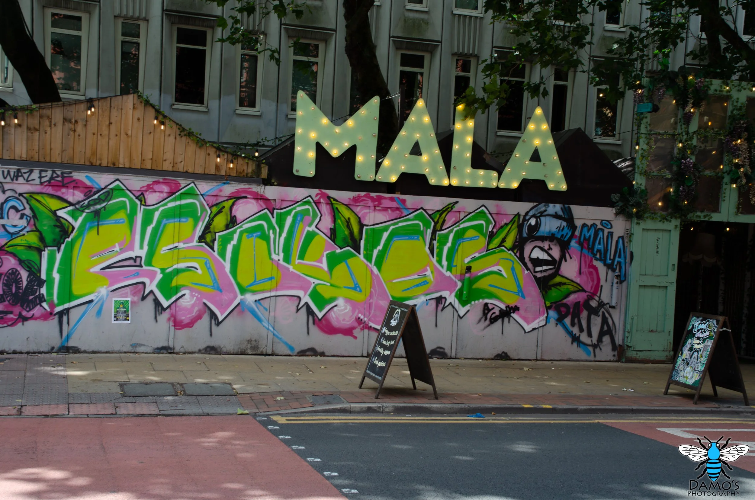 DSC_7500-Enhanced-NR.jpg