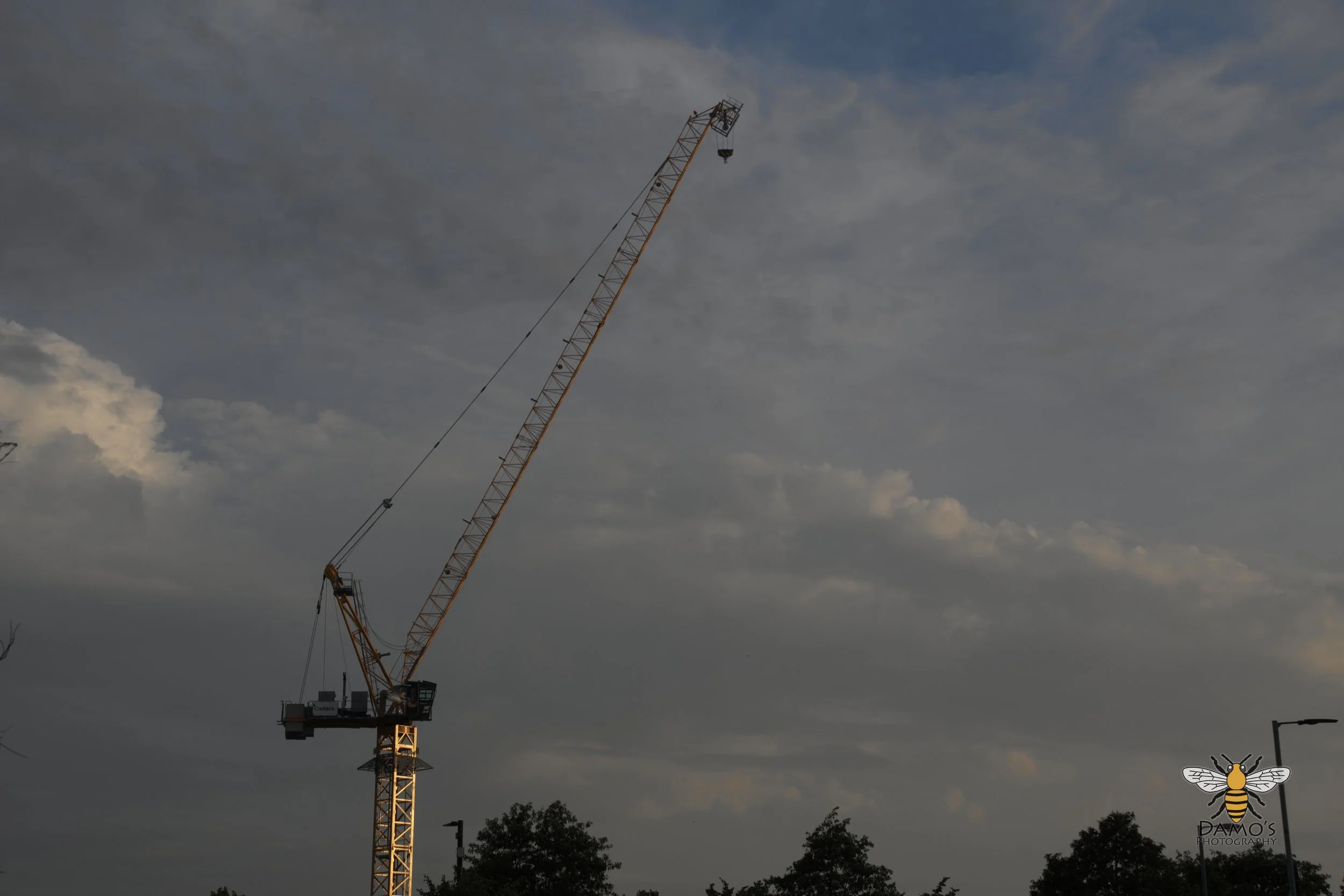 DSC_1469.jpg