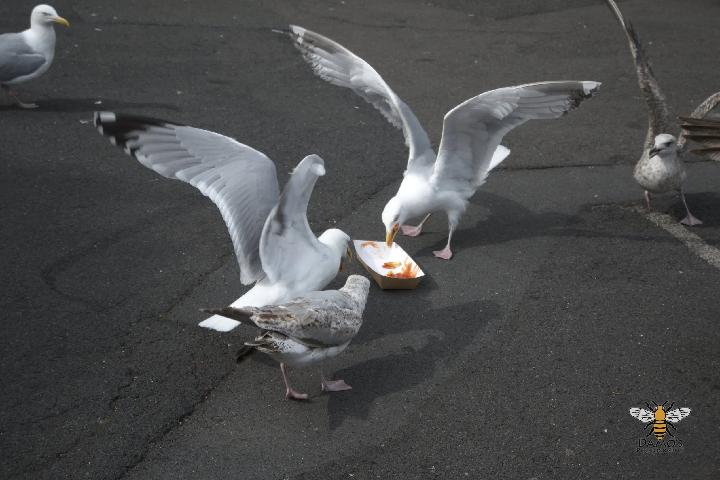 DSC_1674.jpg