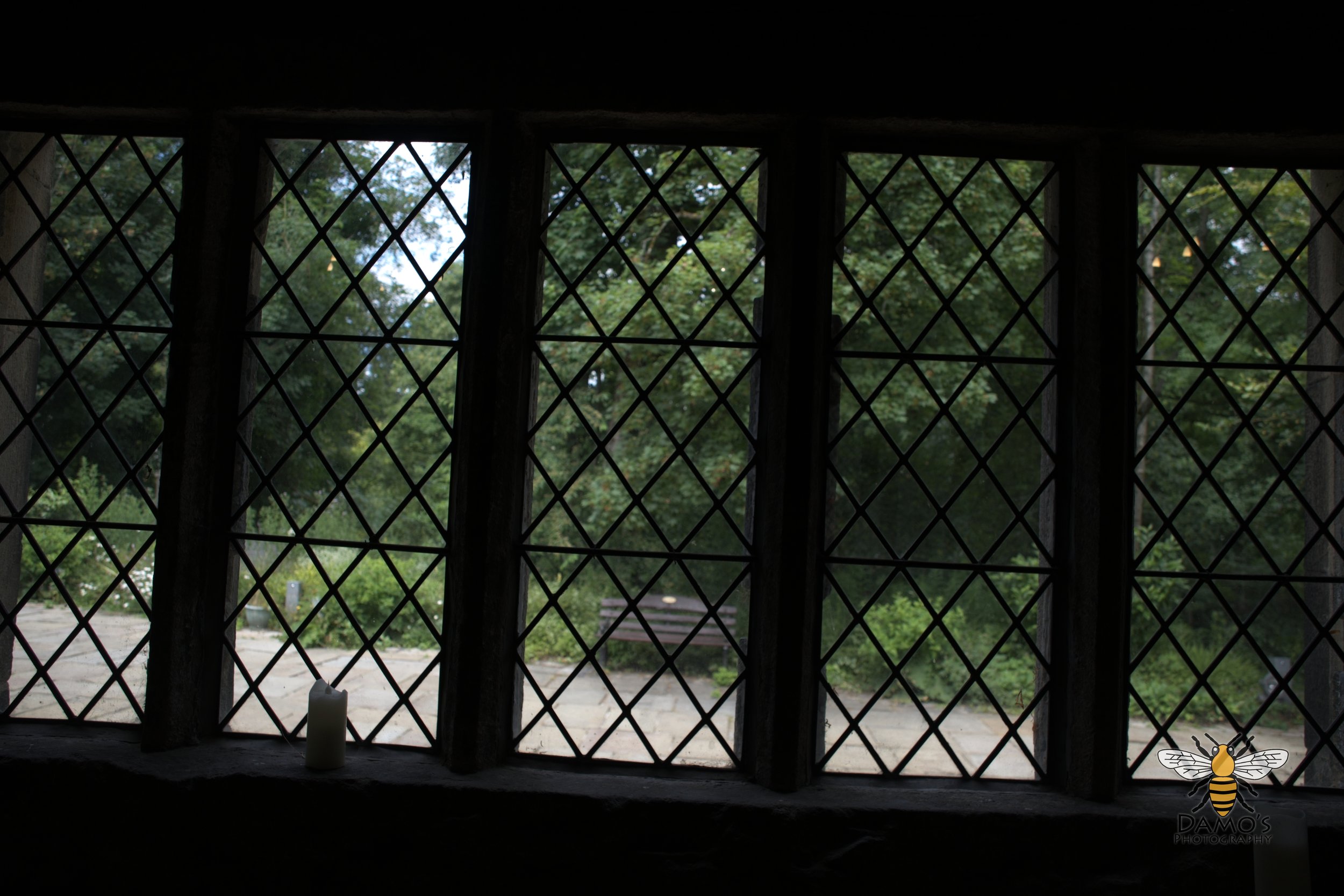 DSC_1550.jpg