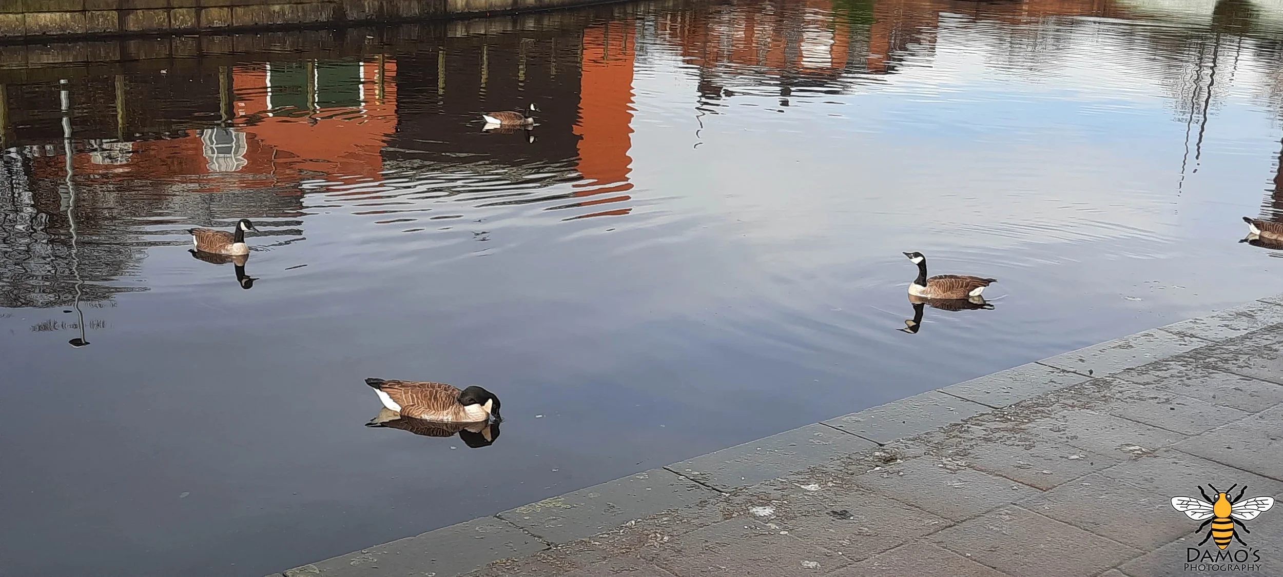20201229_120637.jpg