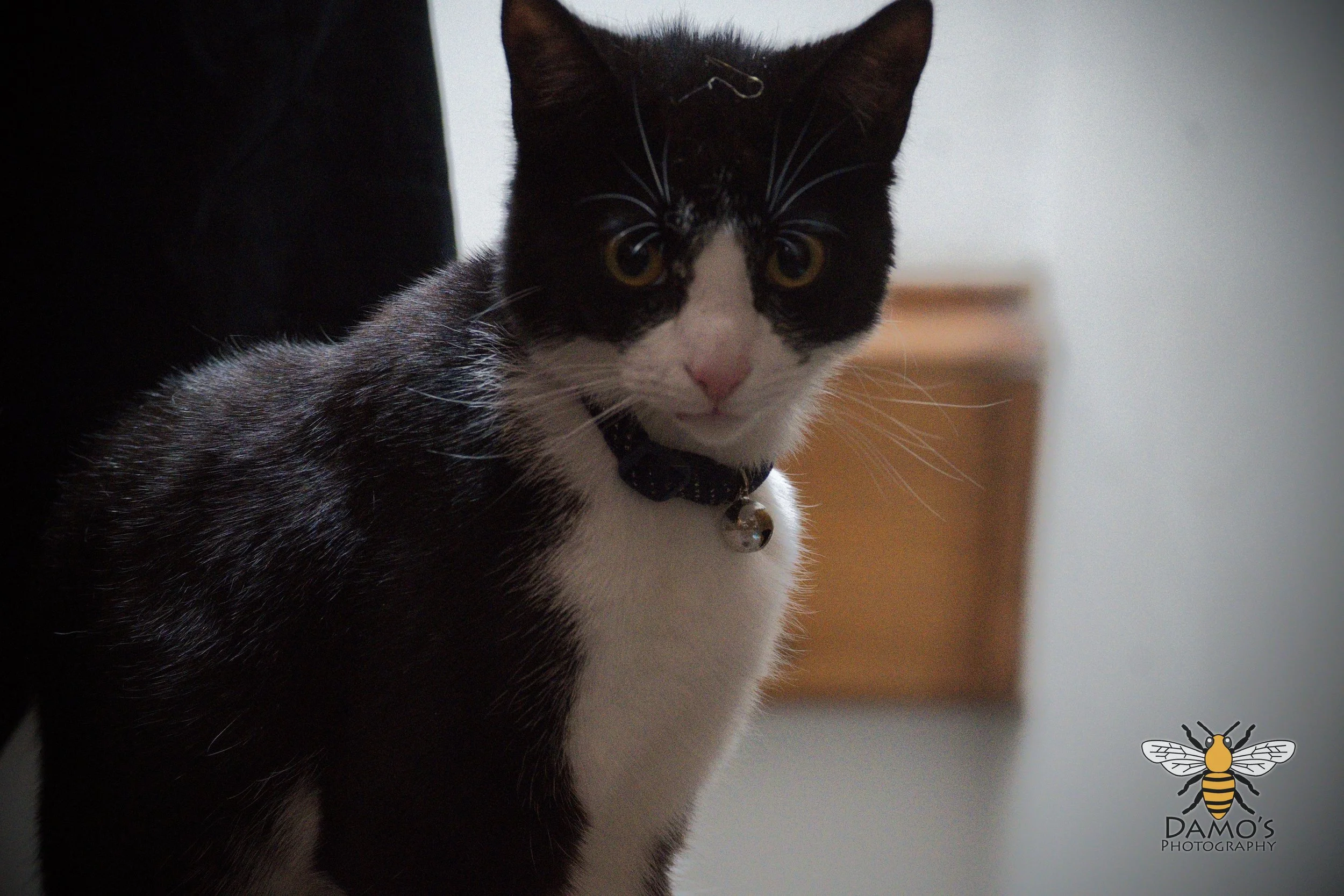 DSC_1282.jpg